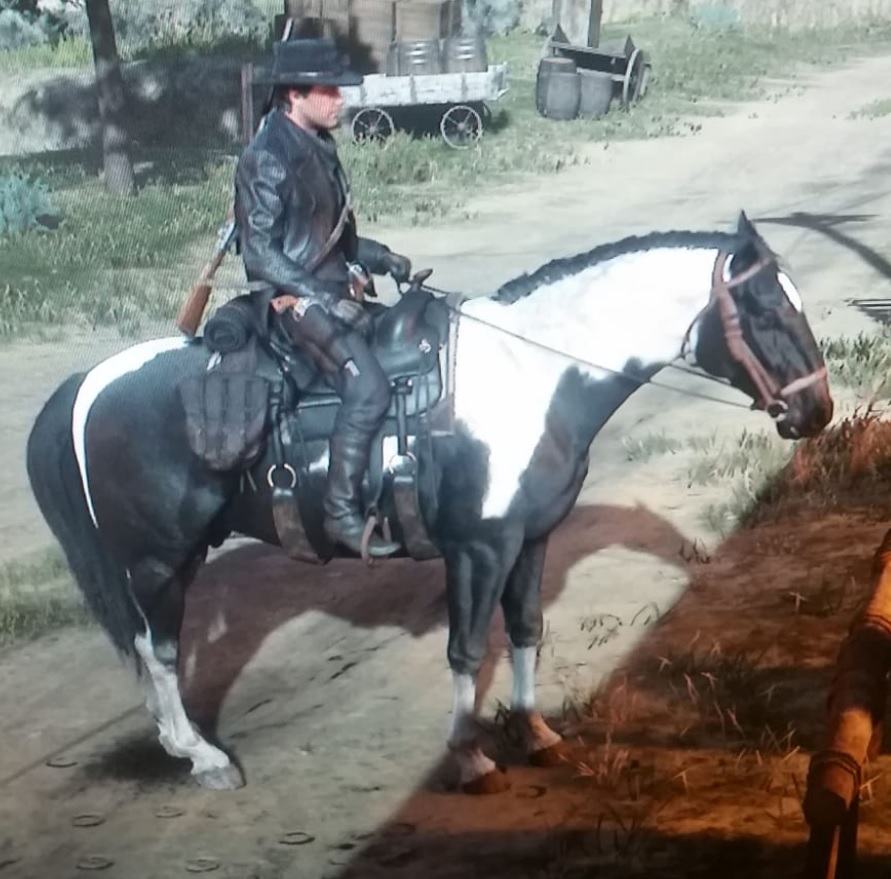Halbblut RDR2.jpg