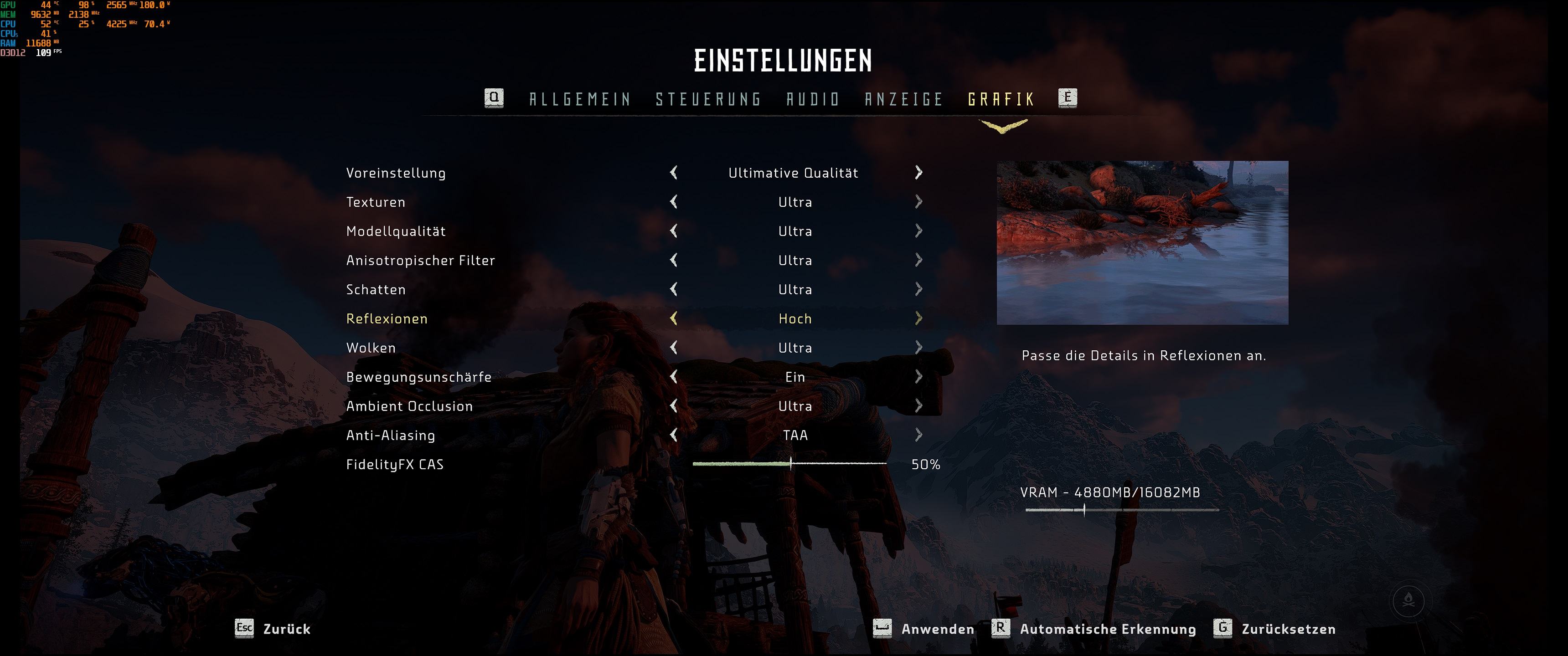 hzd settings.jpg
