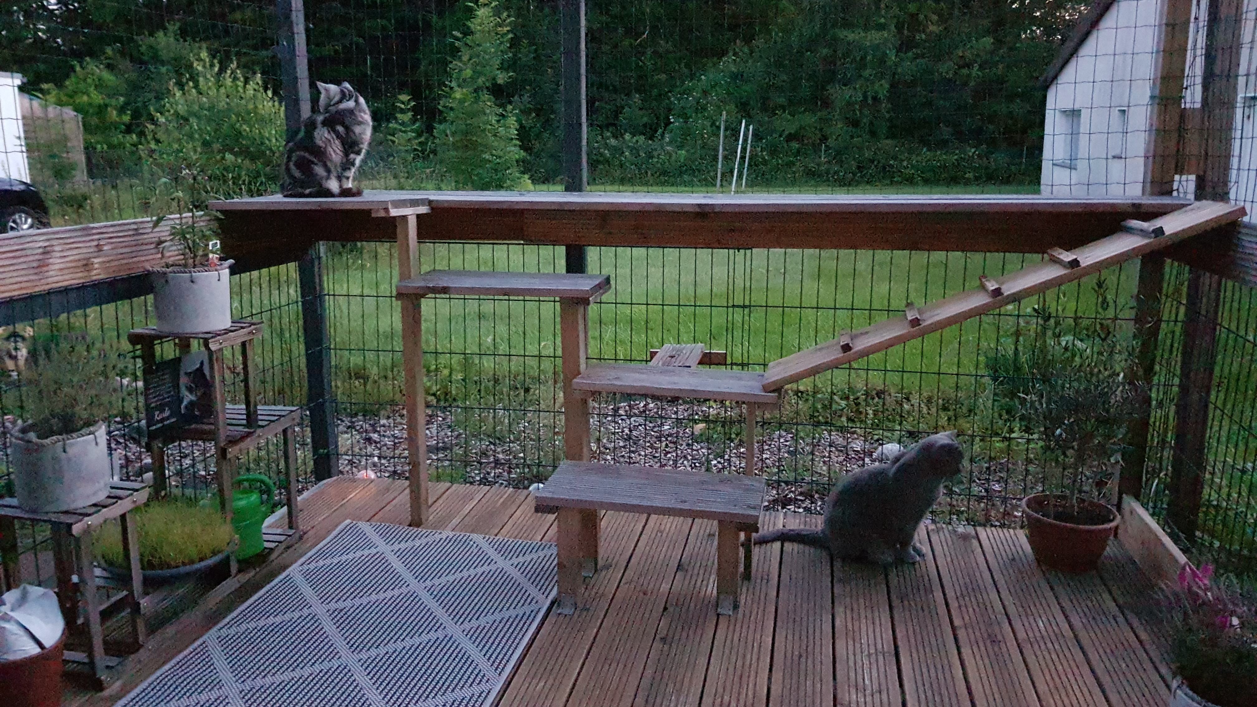 IMG-20250612-WA0003.jpeg