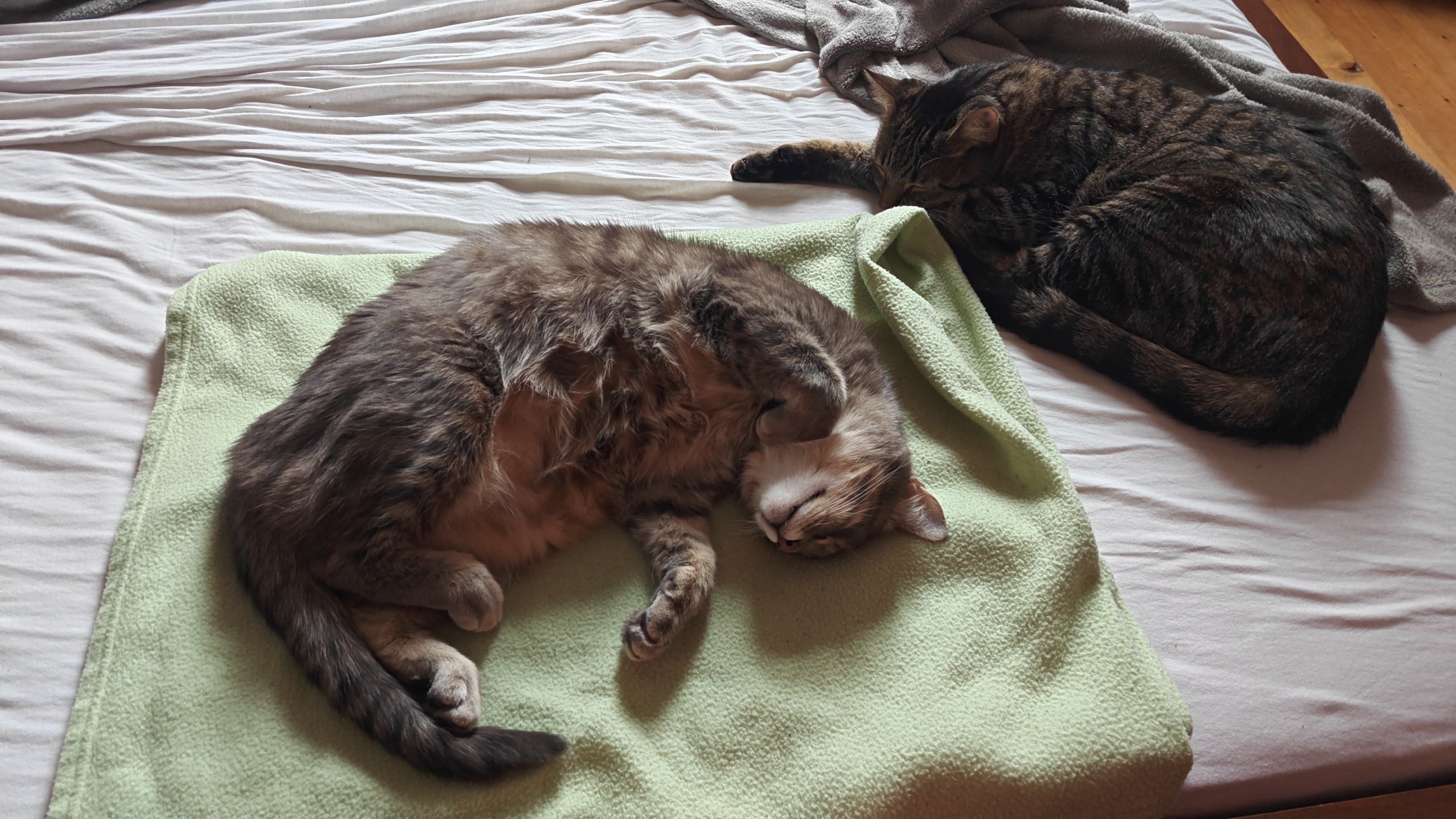 IMG-20250709-WA0009.jpeg