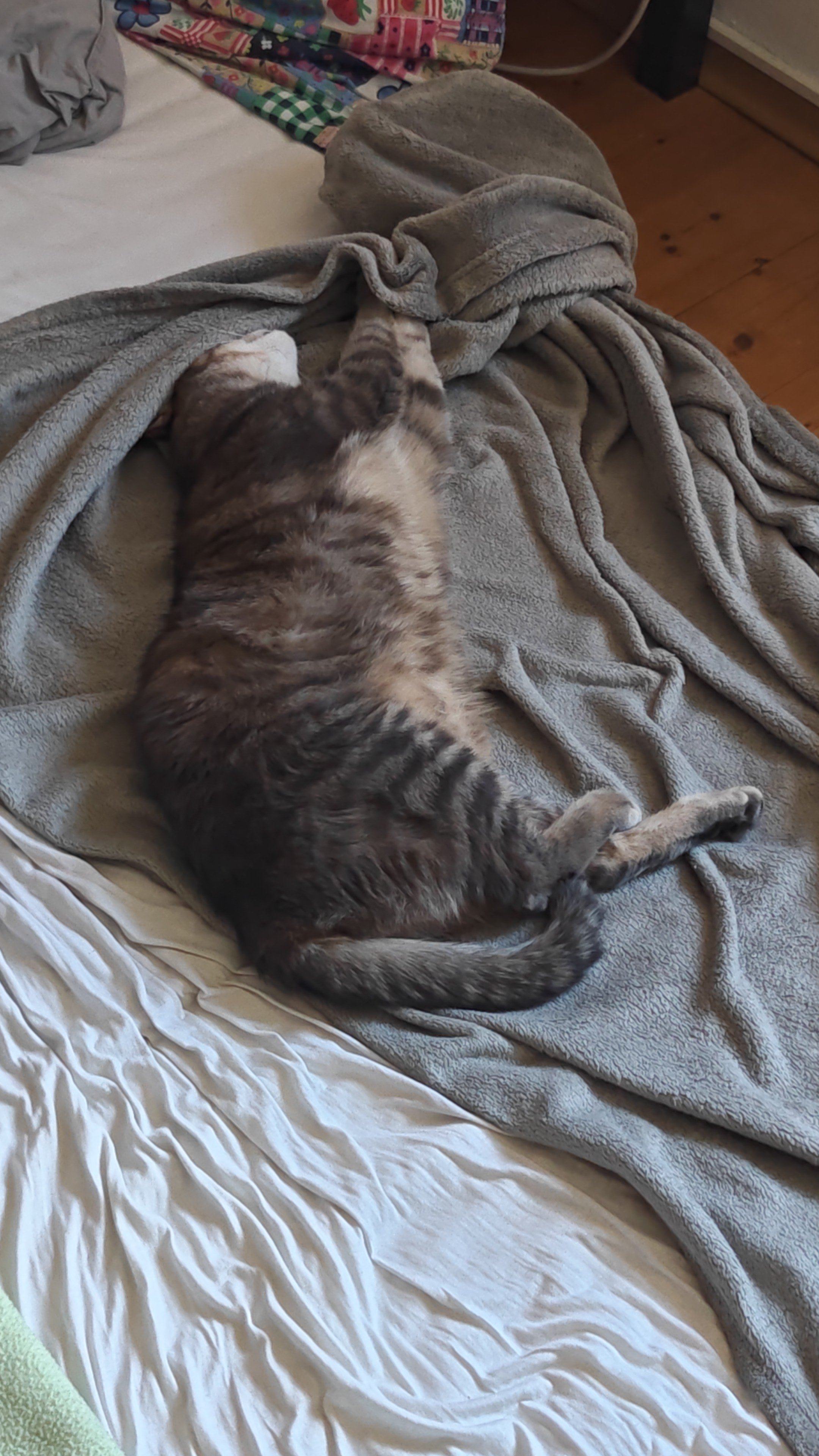 IMG-20250721-WA0003.jpeg