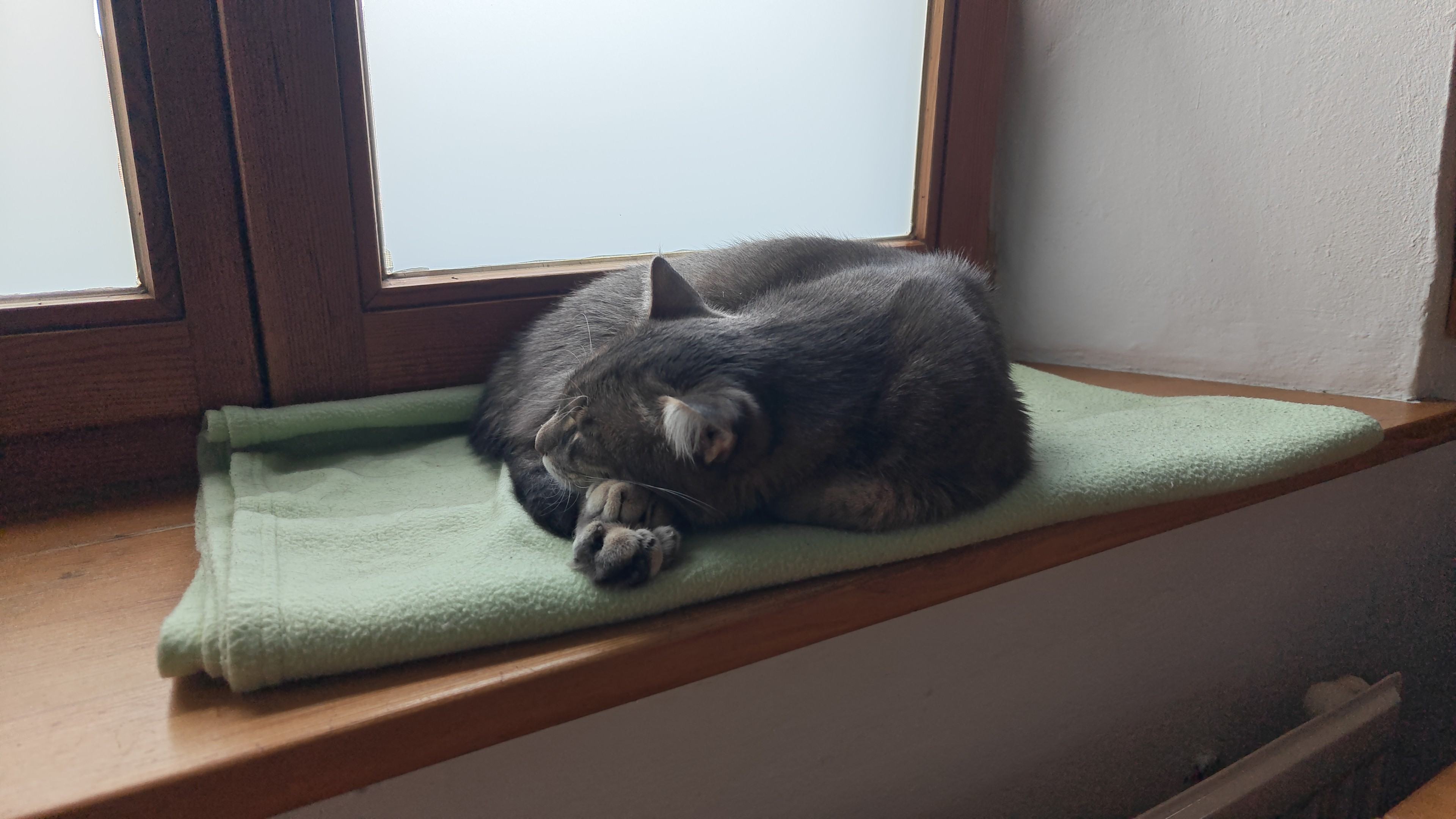 IMG-20250822-WA0015.jpeg