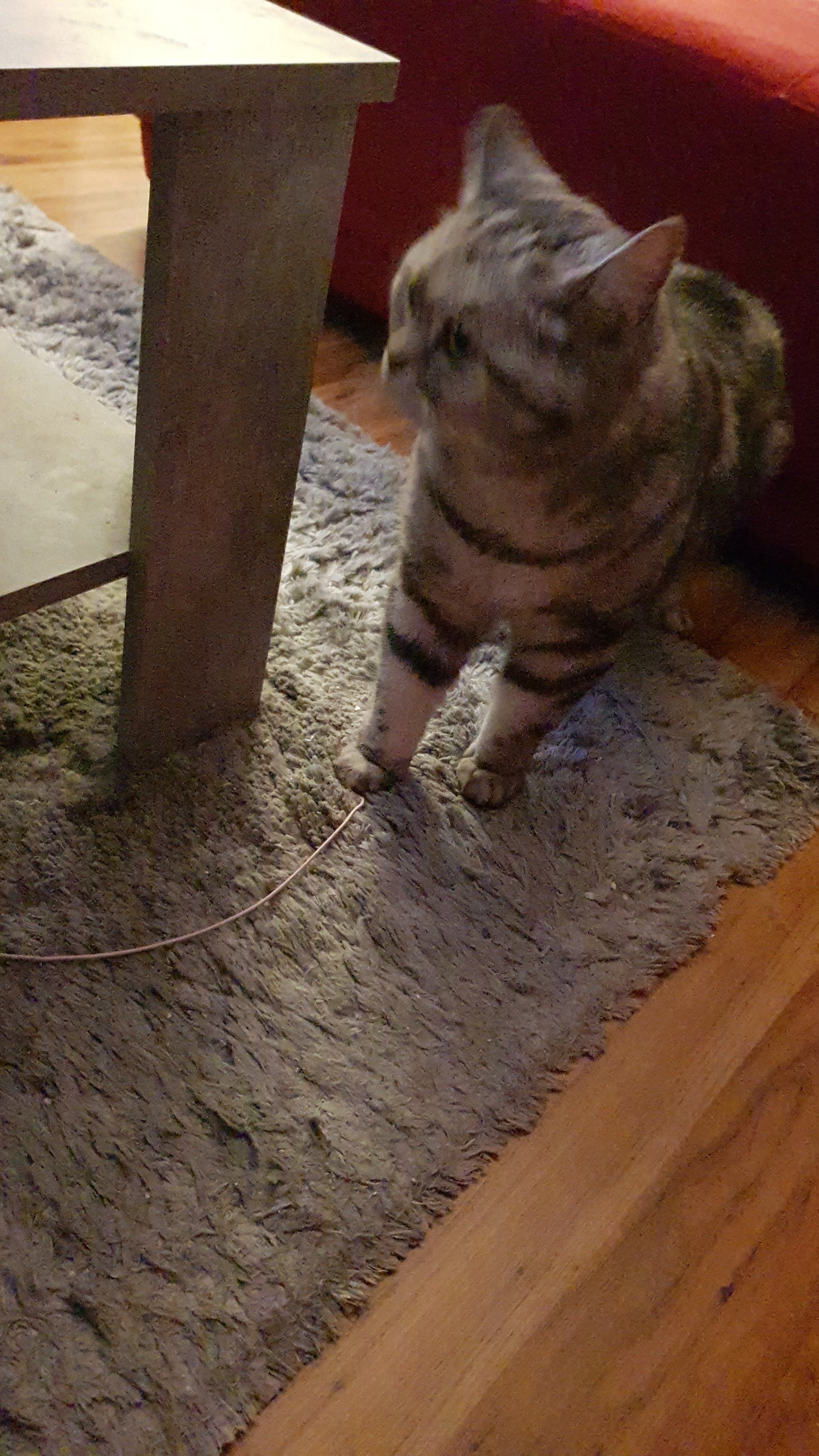 IMG-20250906-WA0004.jpeg