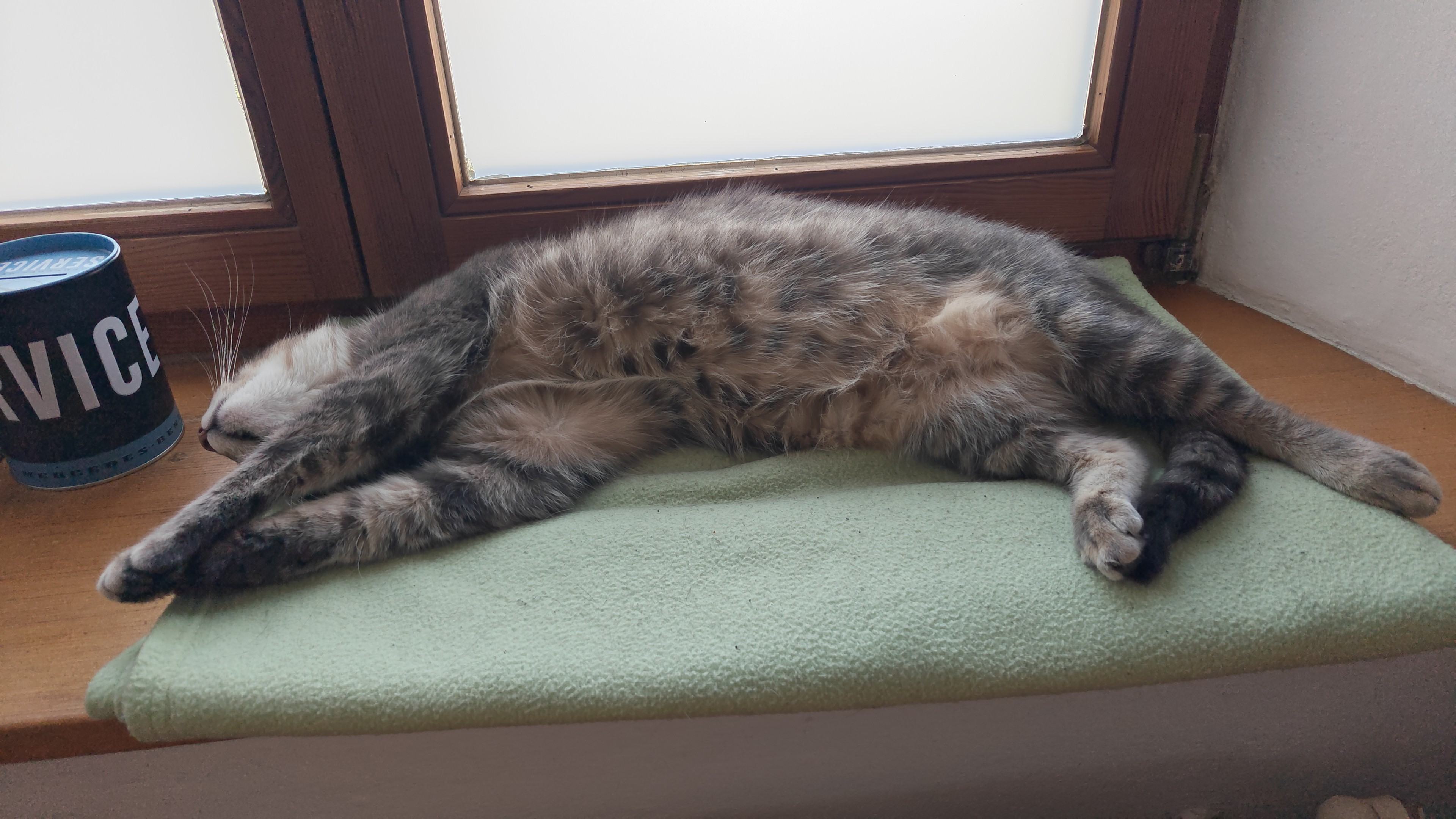IMG-20250907-WA0025.jpeg