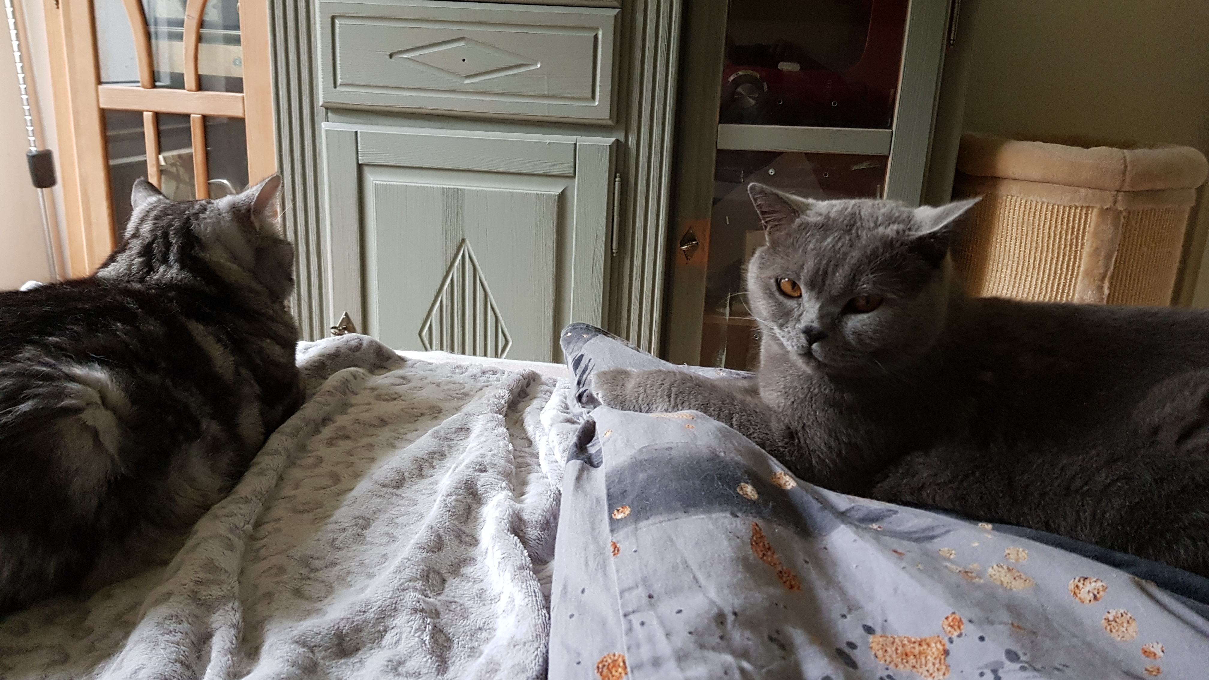 IMG-20250921-WA0005.jpeg
