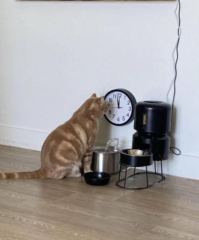 img.jpg