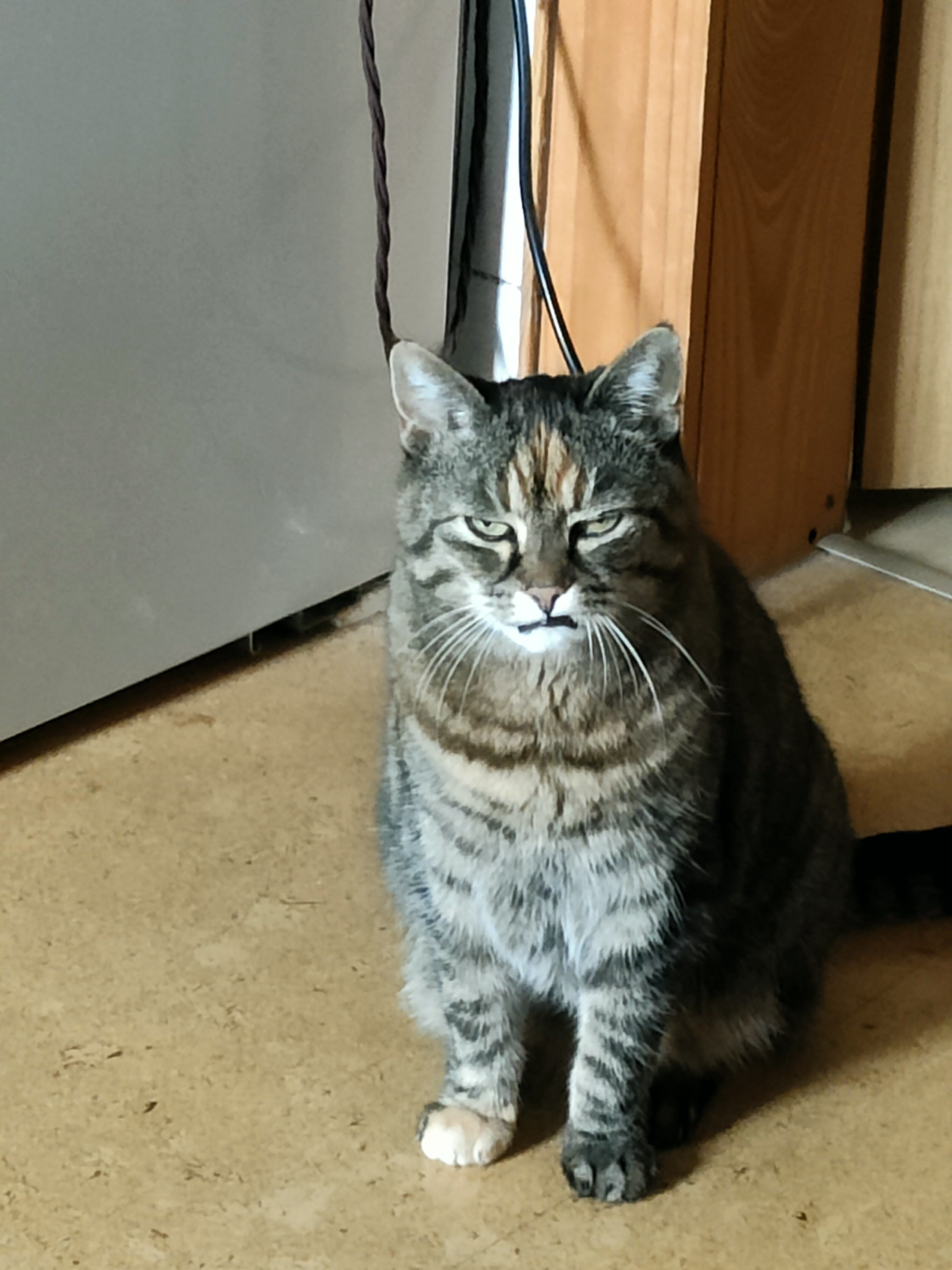 IMG20220420135750.jpg