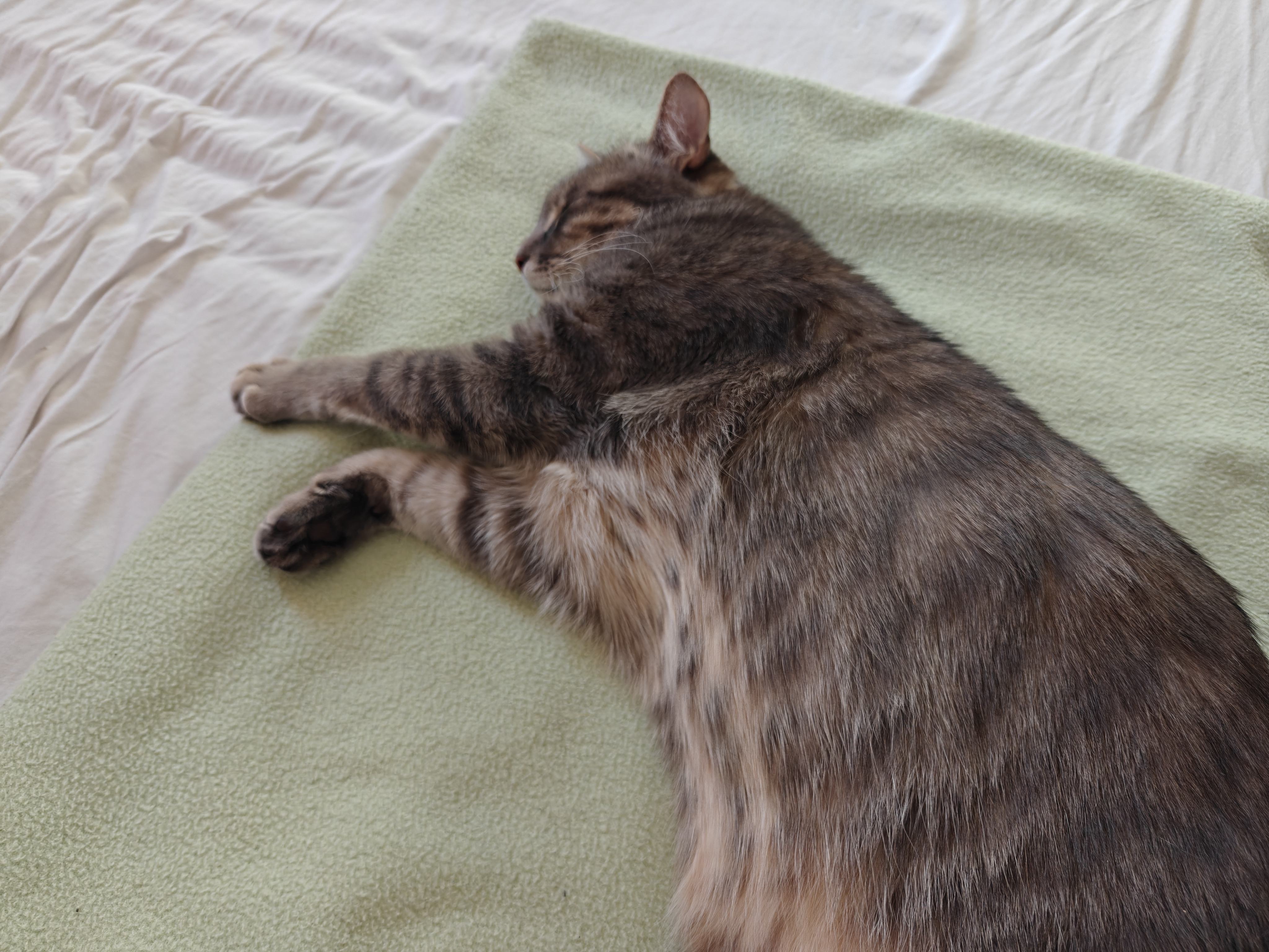 IMG20250622191043.jpg