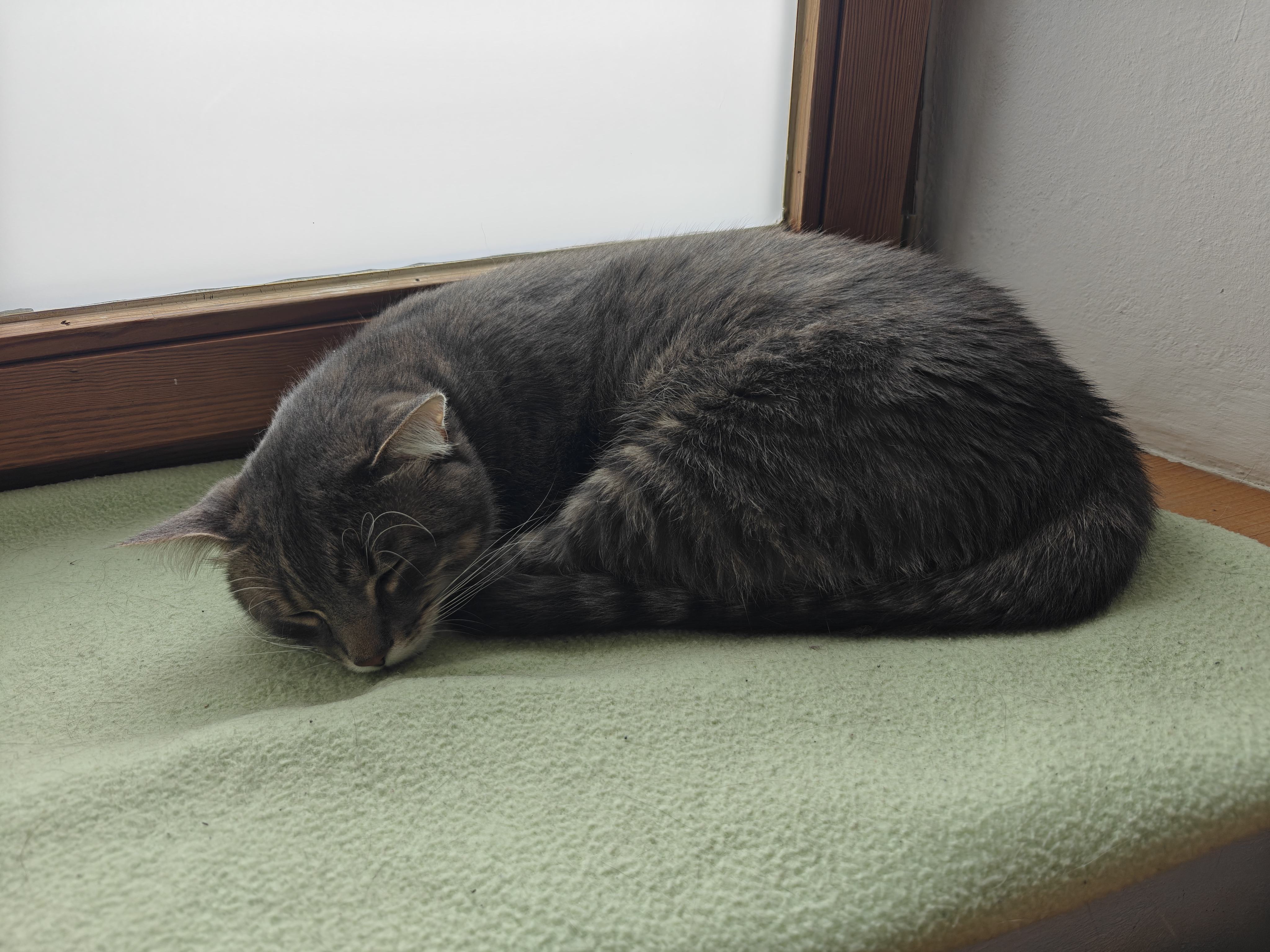 IMG20250904151357.jpg