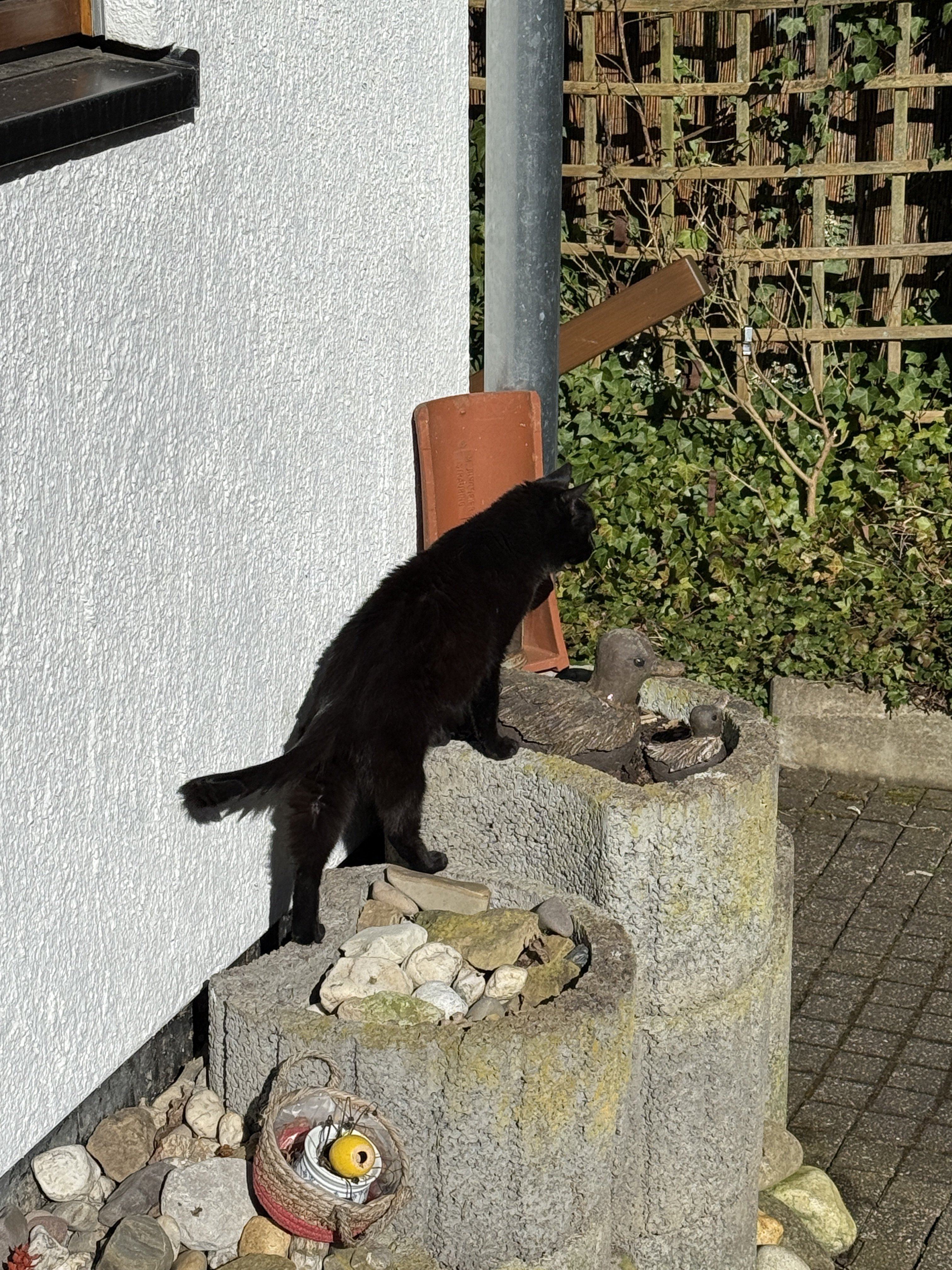 IMG_0147.jpeg