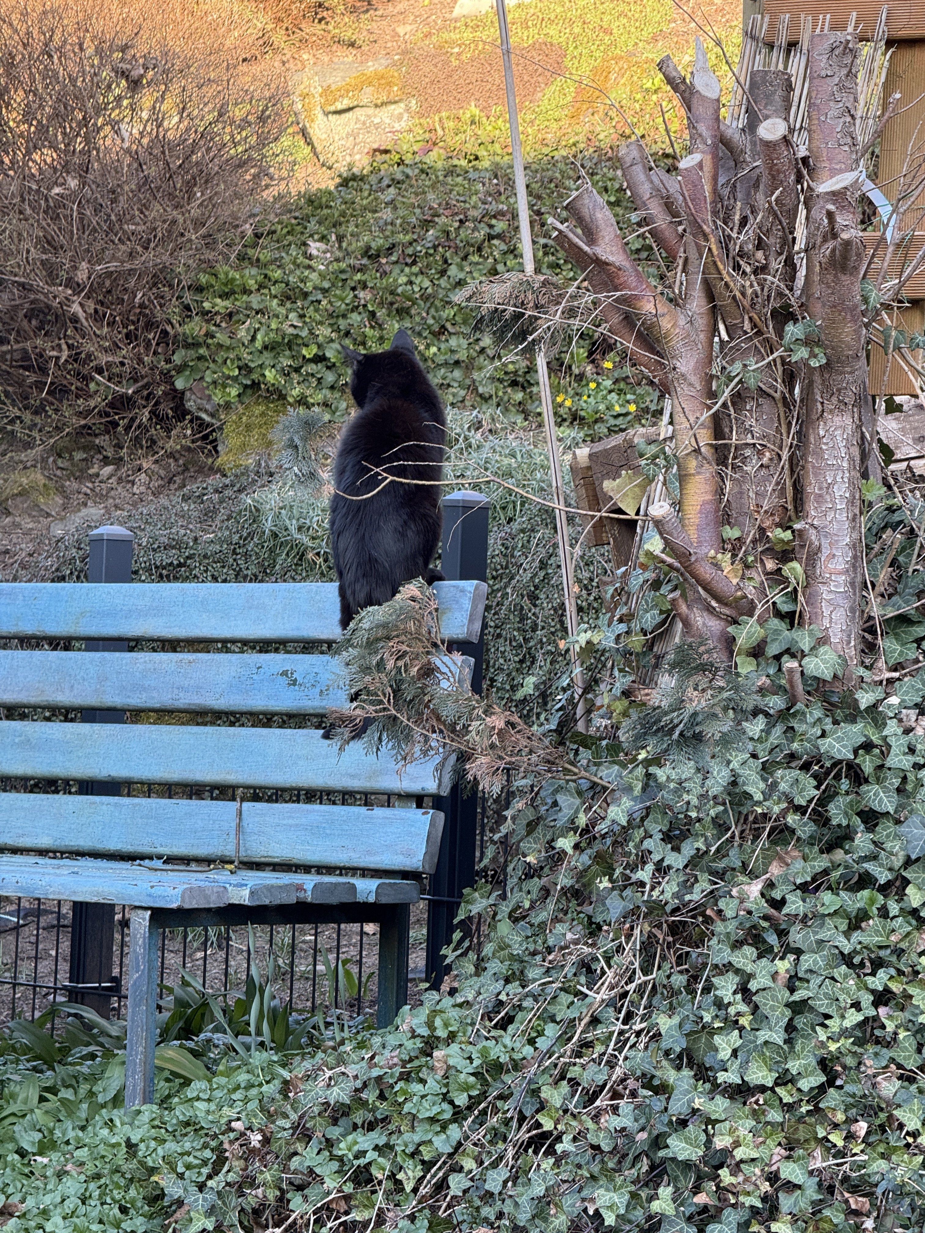 IMG_0395.jpeg