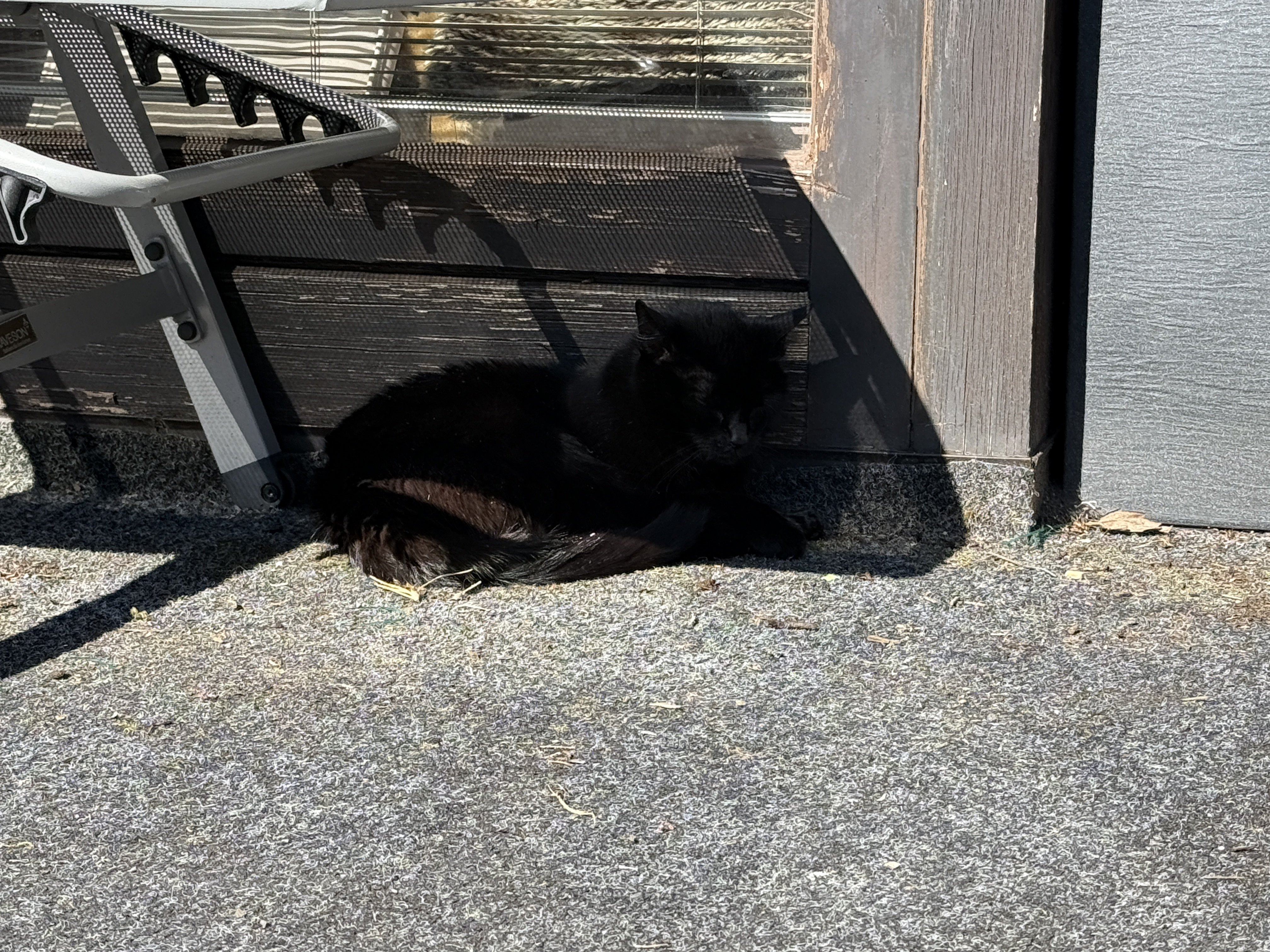 IMG_0409.jpeg