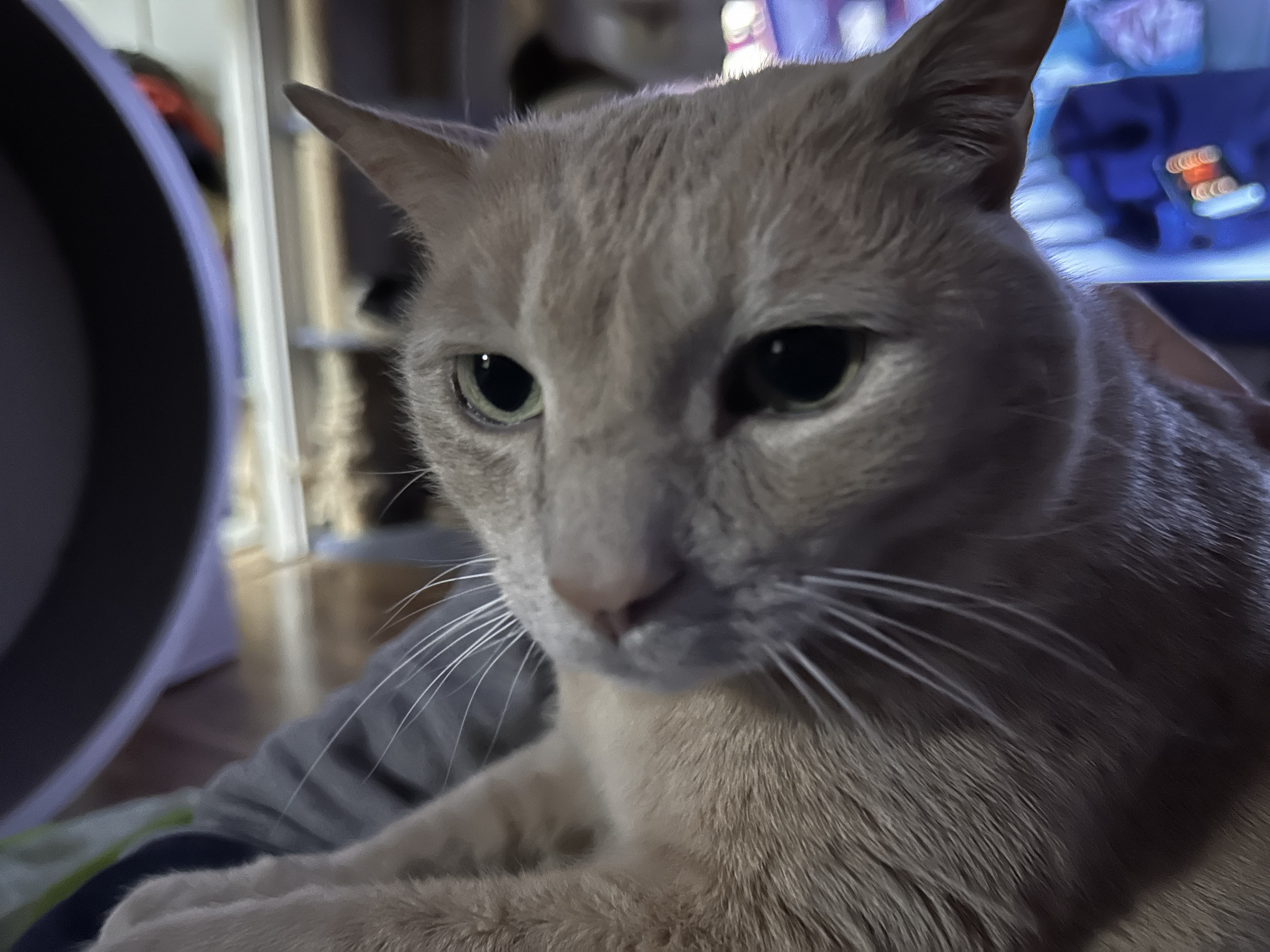 IMG_0668.jpeg
