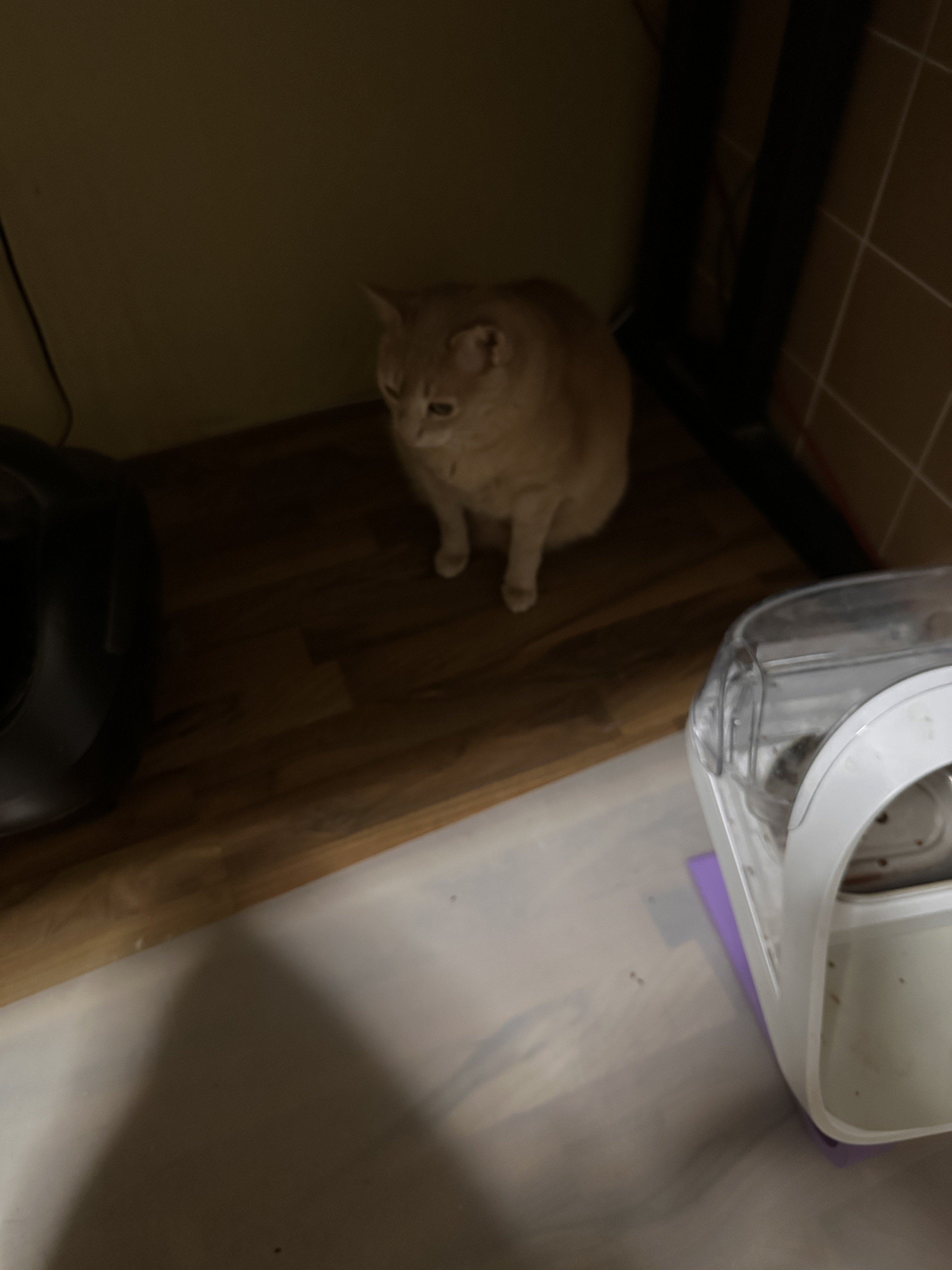 IMG_0779.jpeg