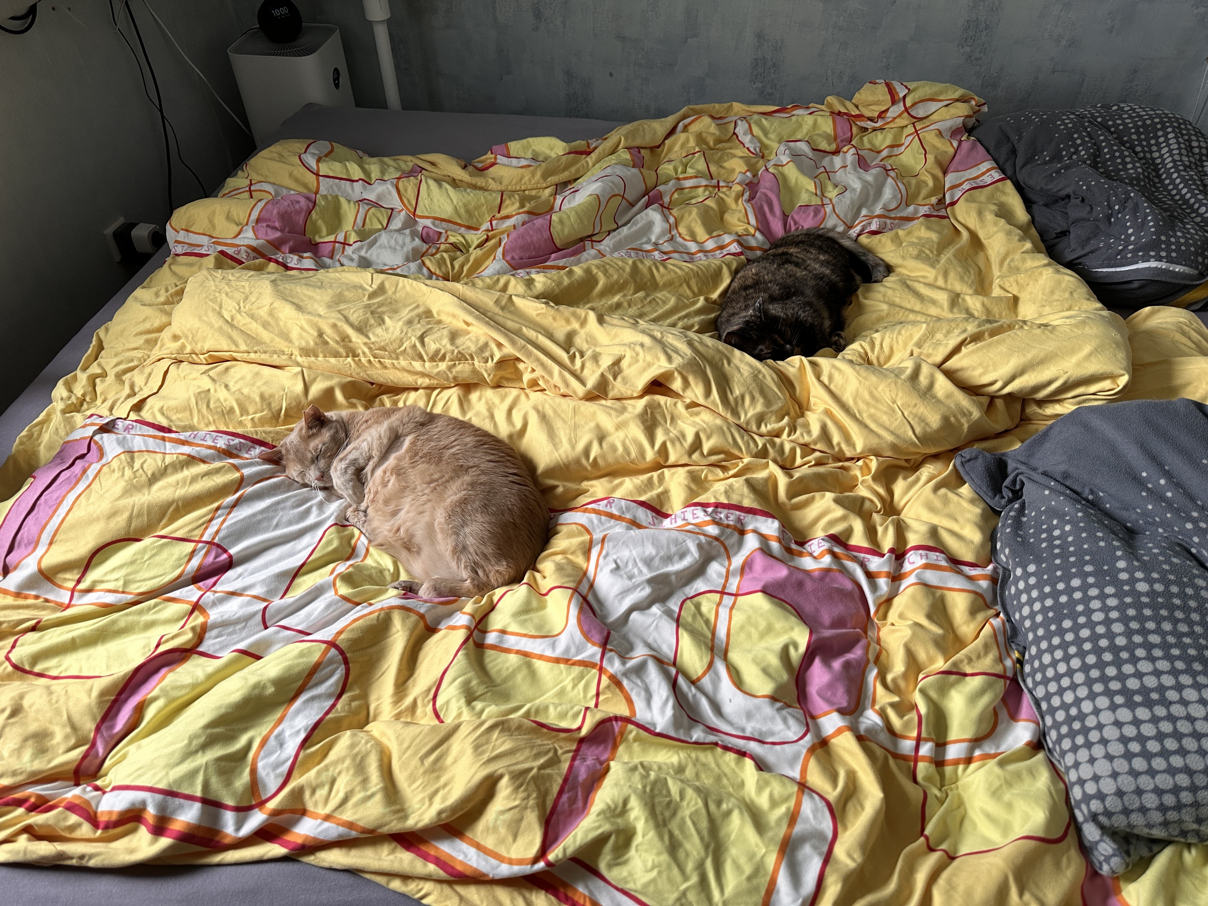 IMG_0983.jpeg