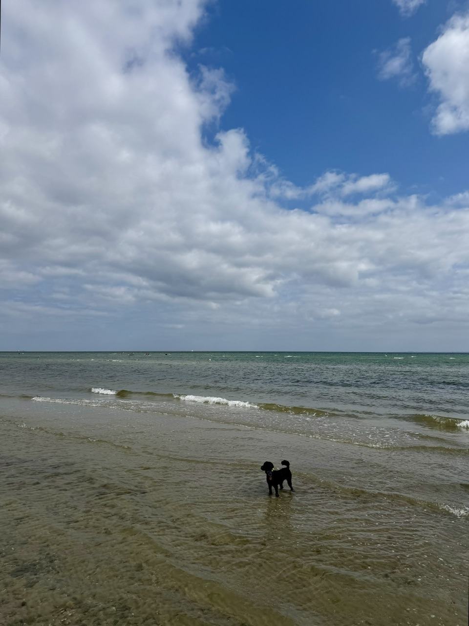 IMG_1090.jpeg