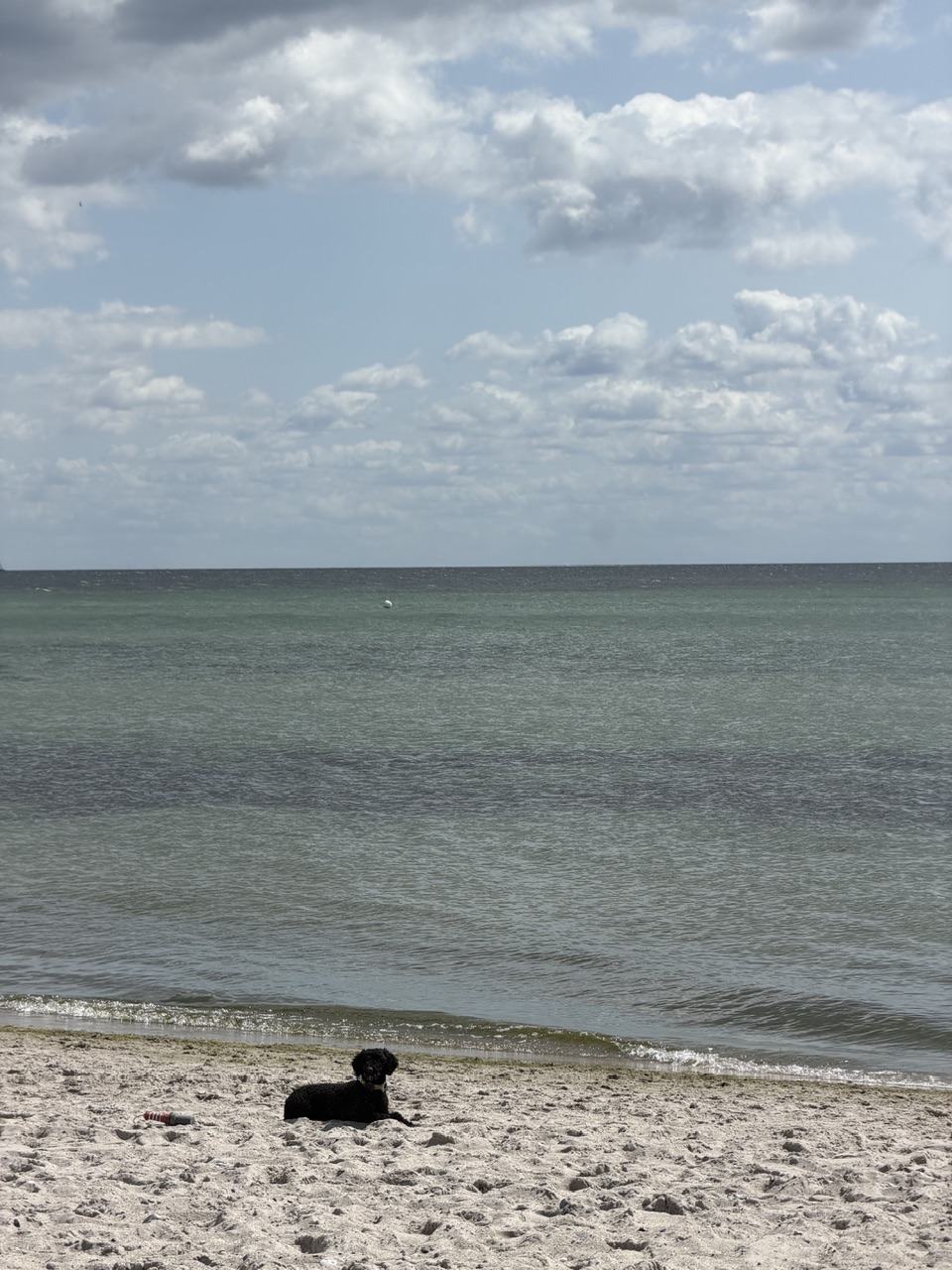 IMG_1149.jpeg