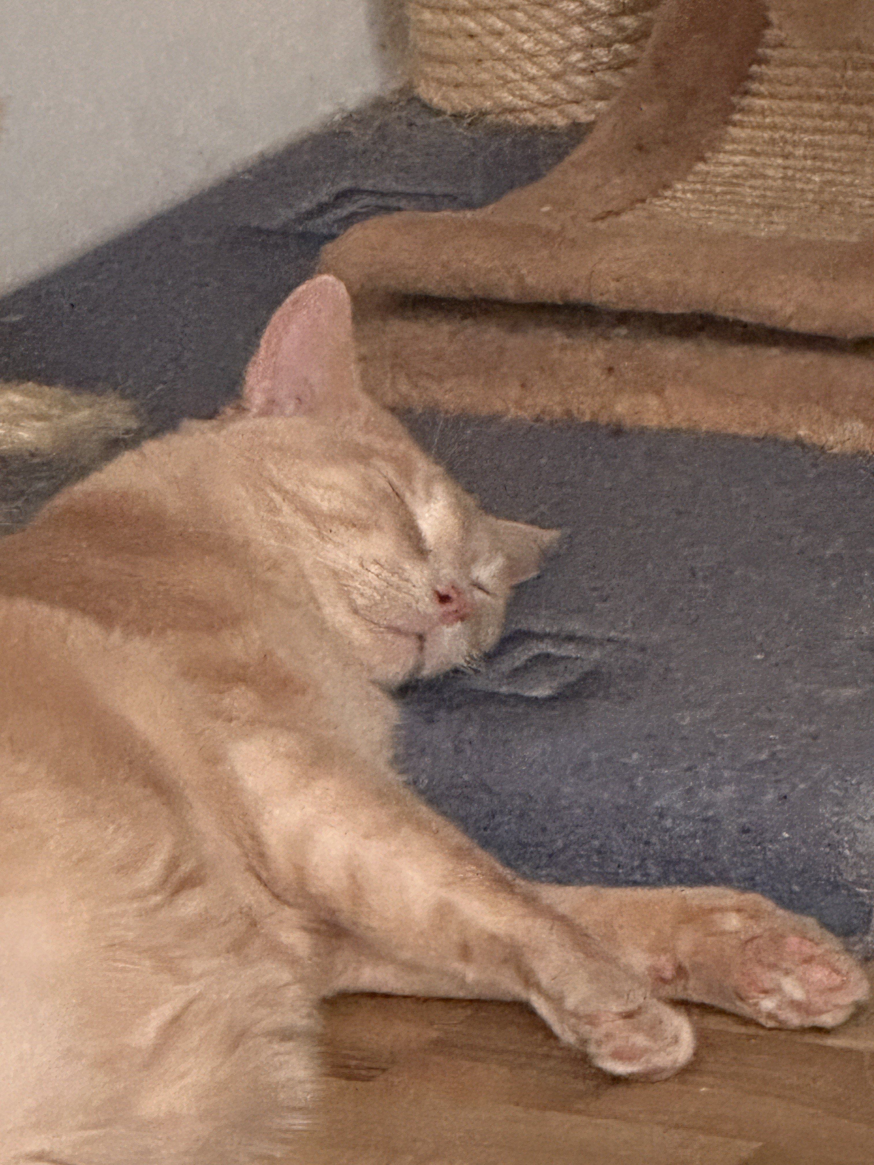IMG_1172.jpeg