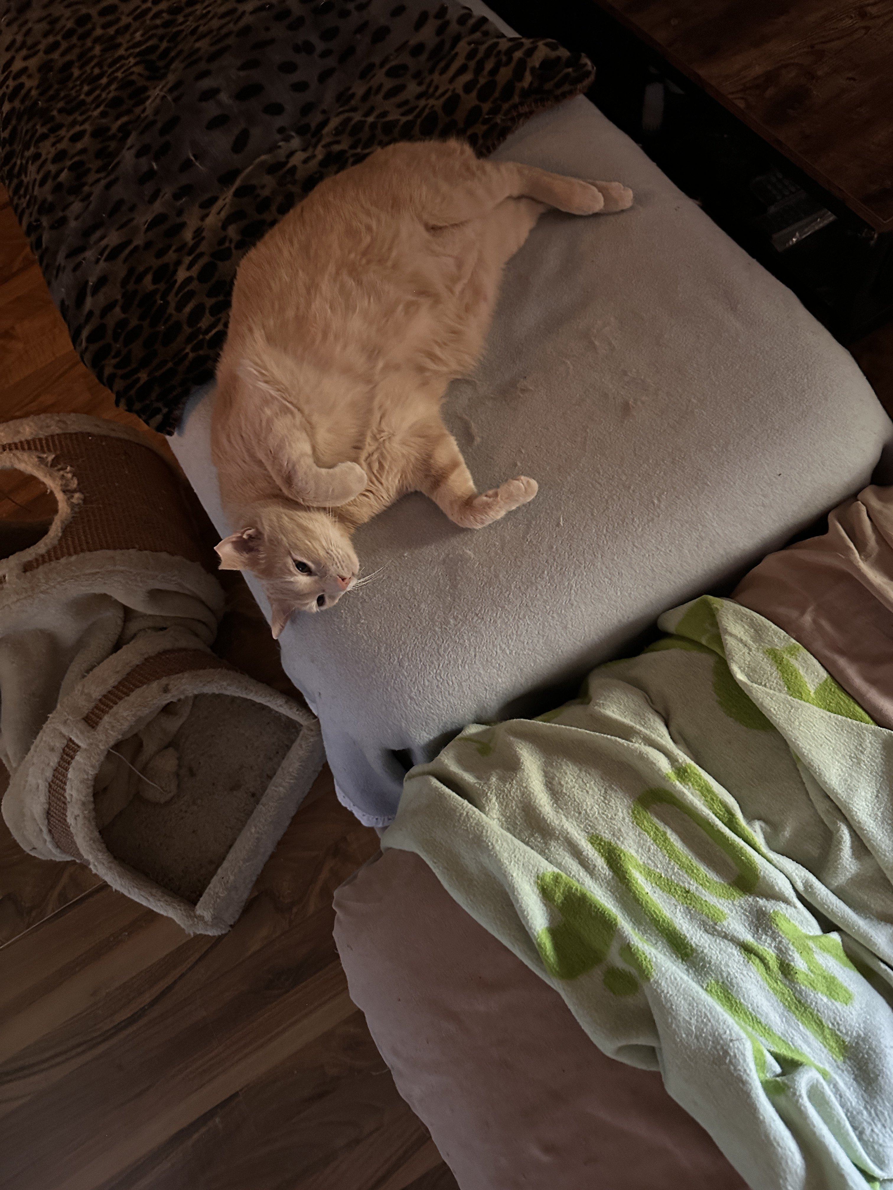 IMG_1406.jpeg