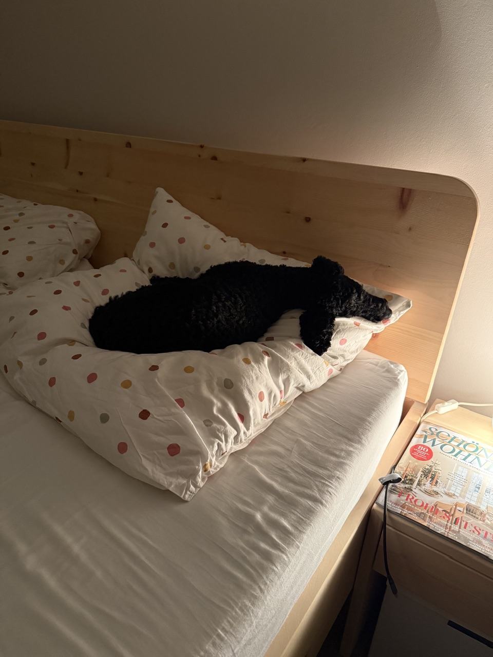 IMG_1443.jpeg