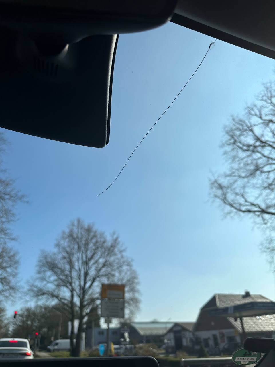 IMG_2615.jpeg