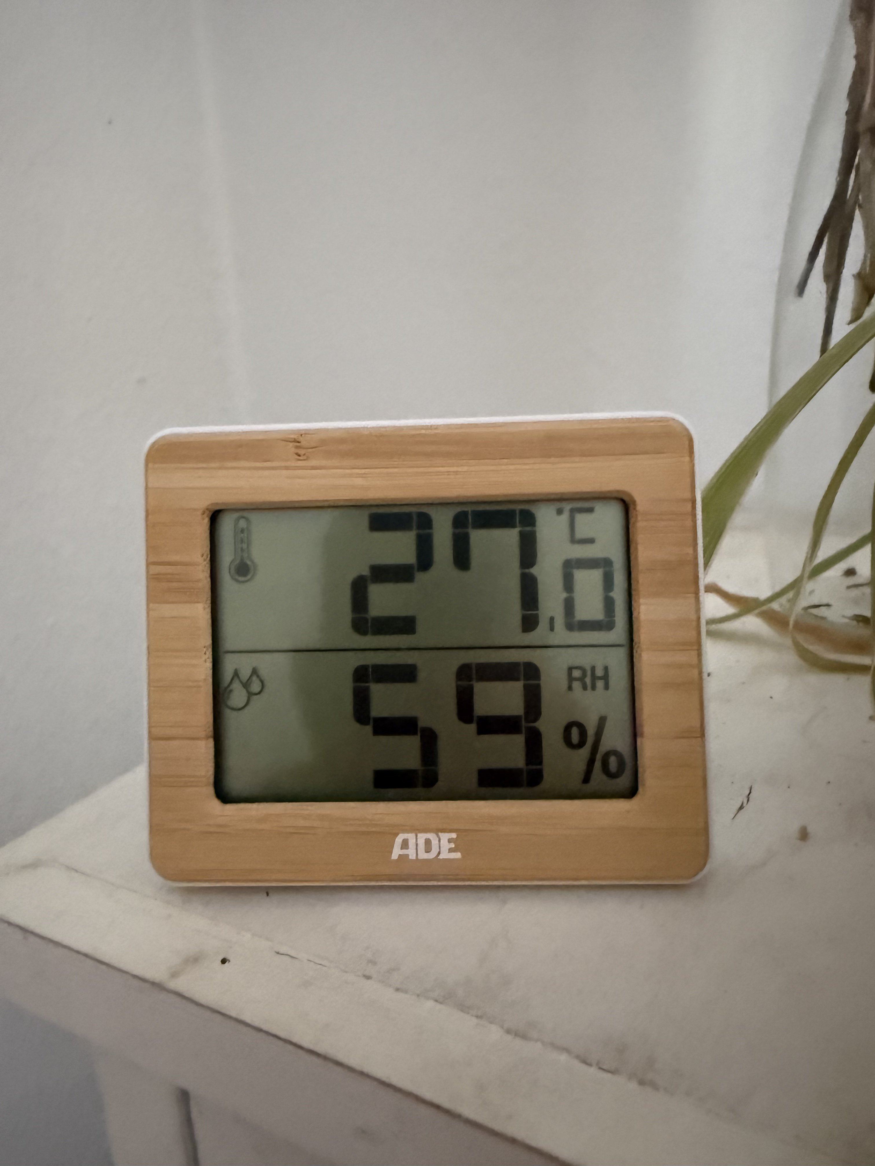 IMG_3008.jpeg