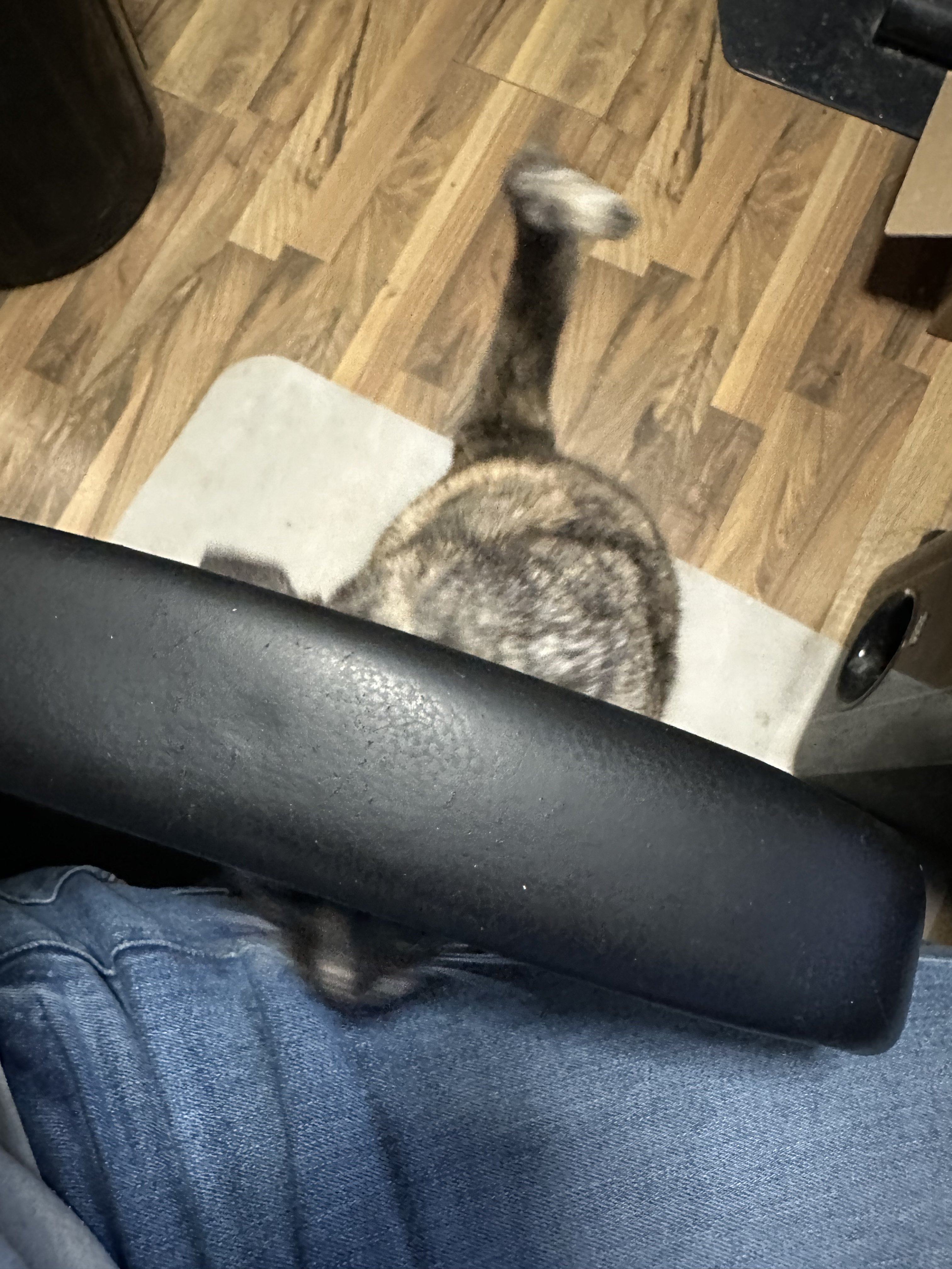 IMG_3415.jpeg
