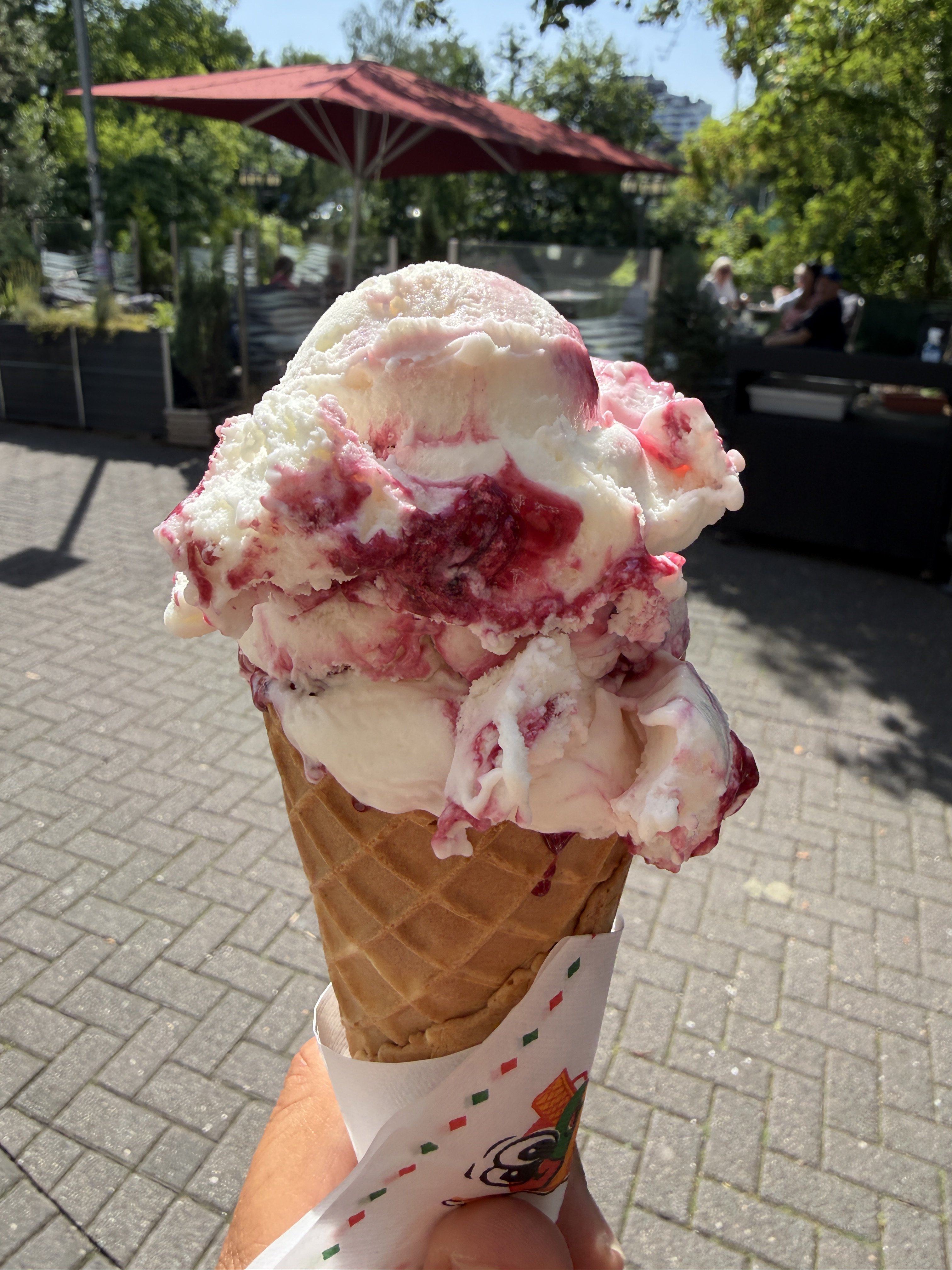 IMG_3755.jpeg