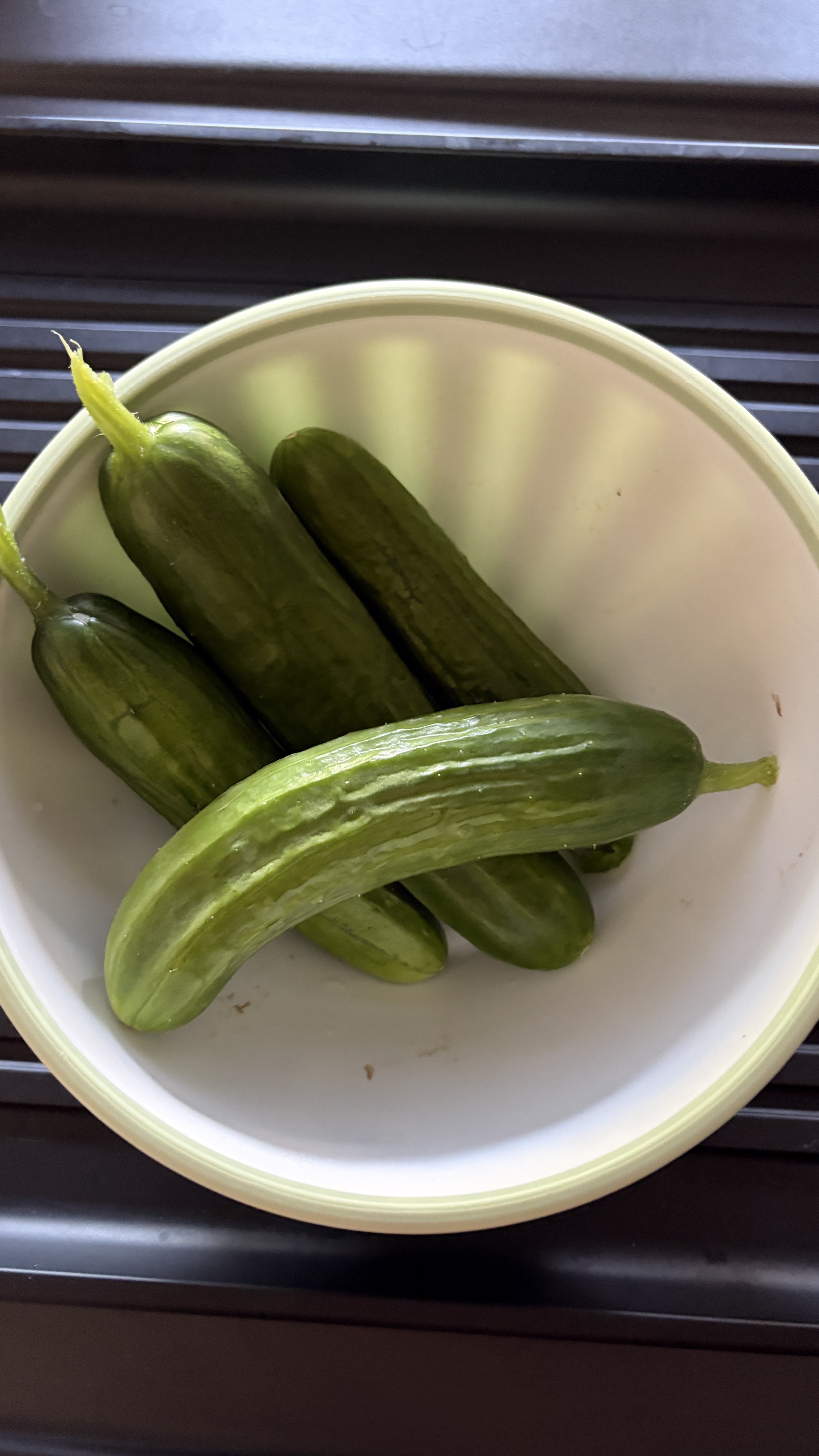 IMG_4448.jpeg