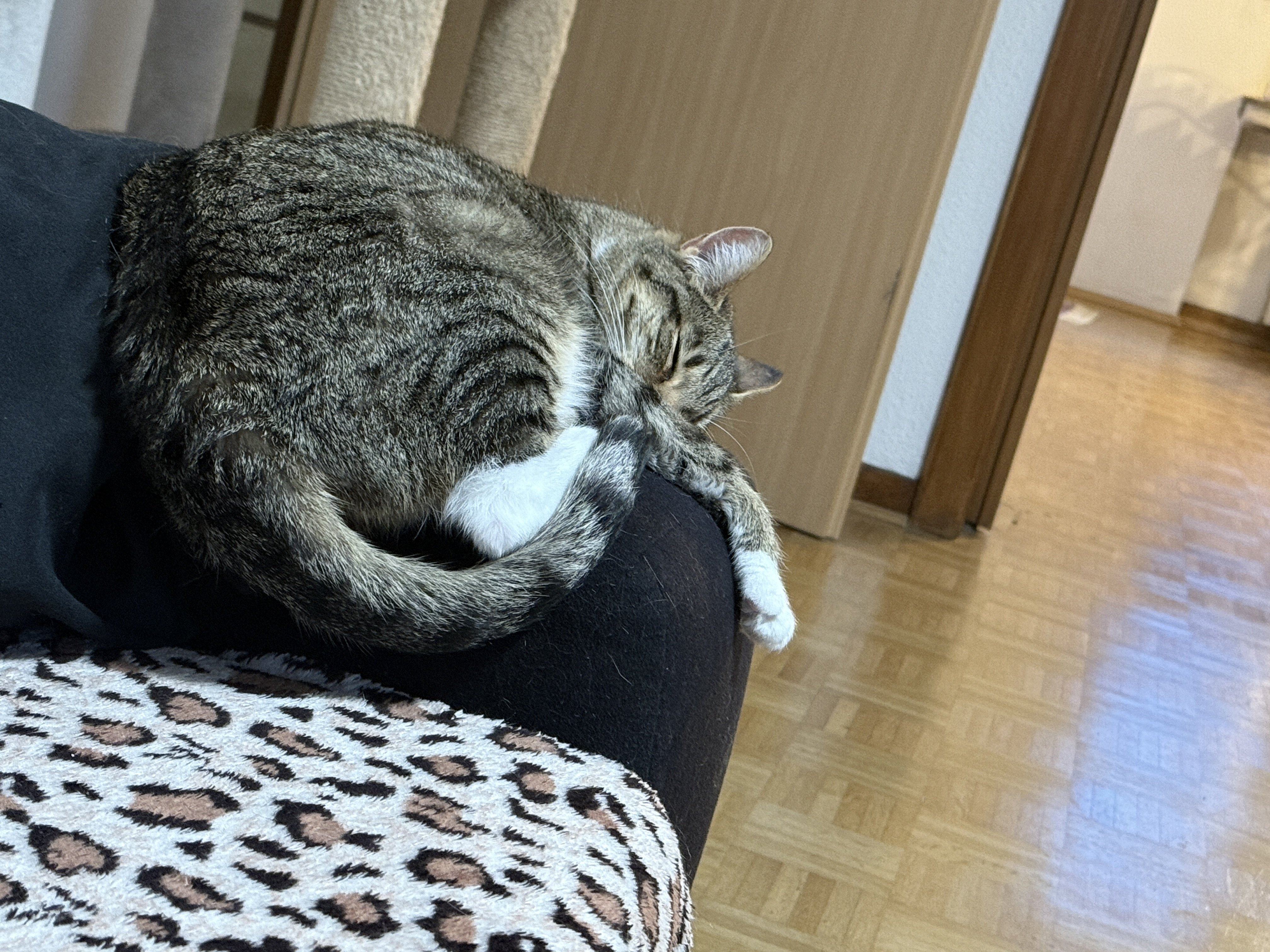 IMG_4797.jpeg