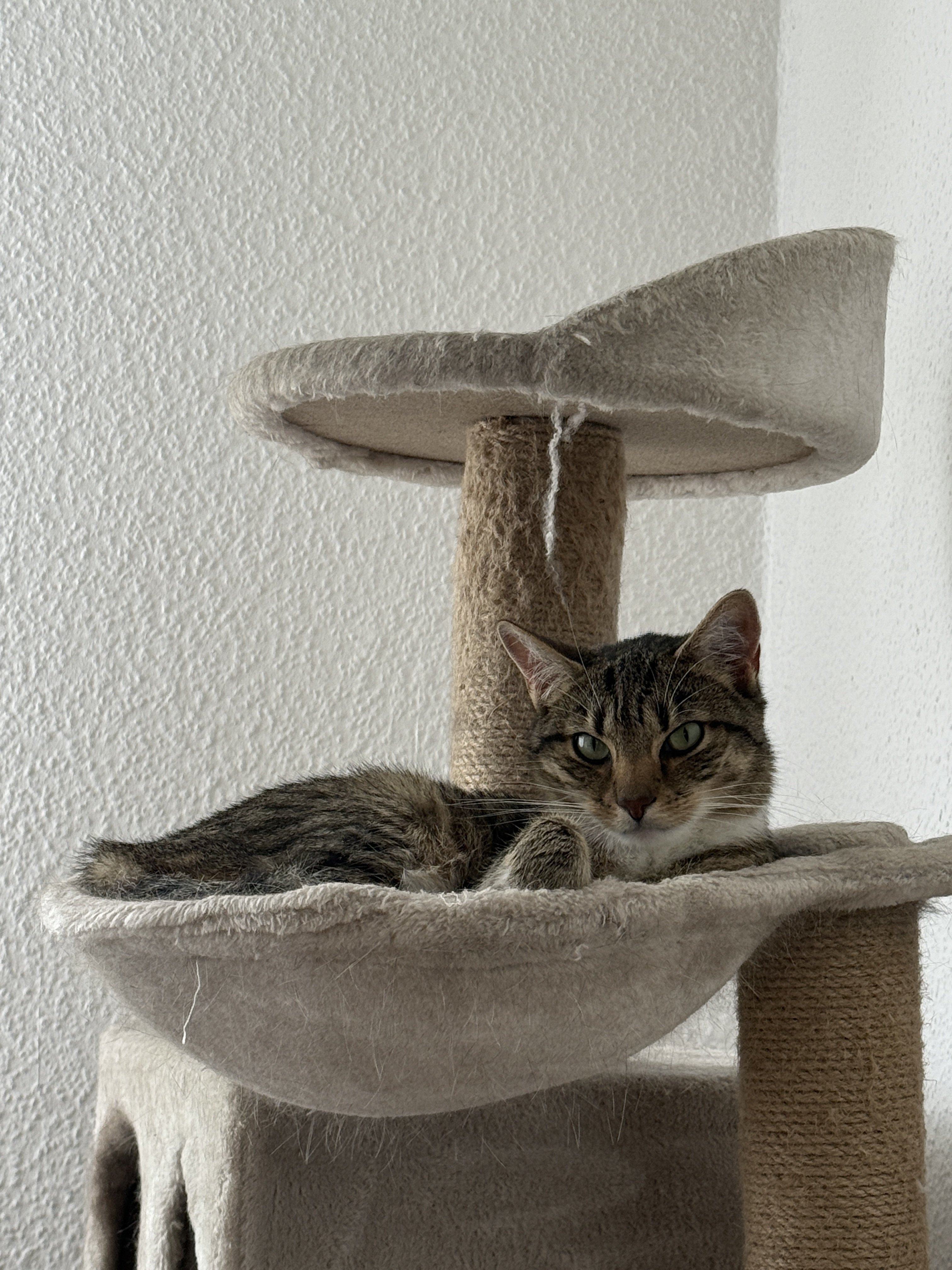 IMG_4979.jpeg