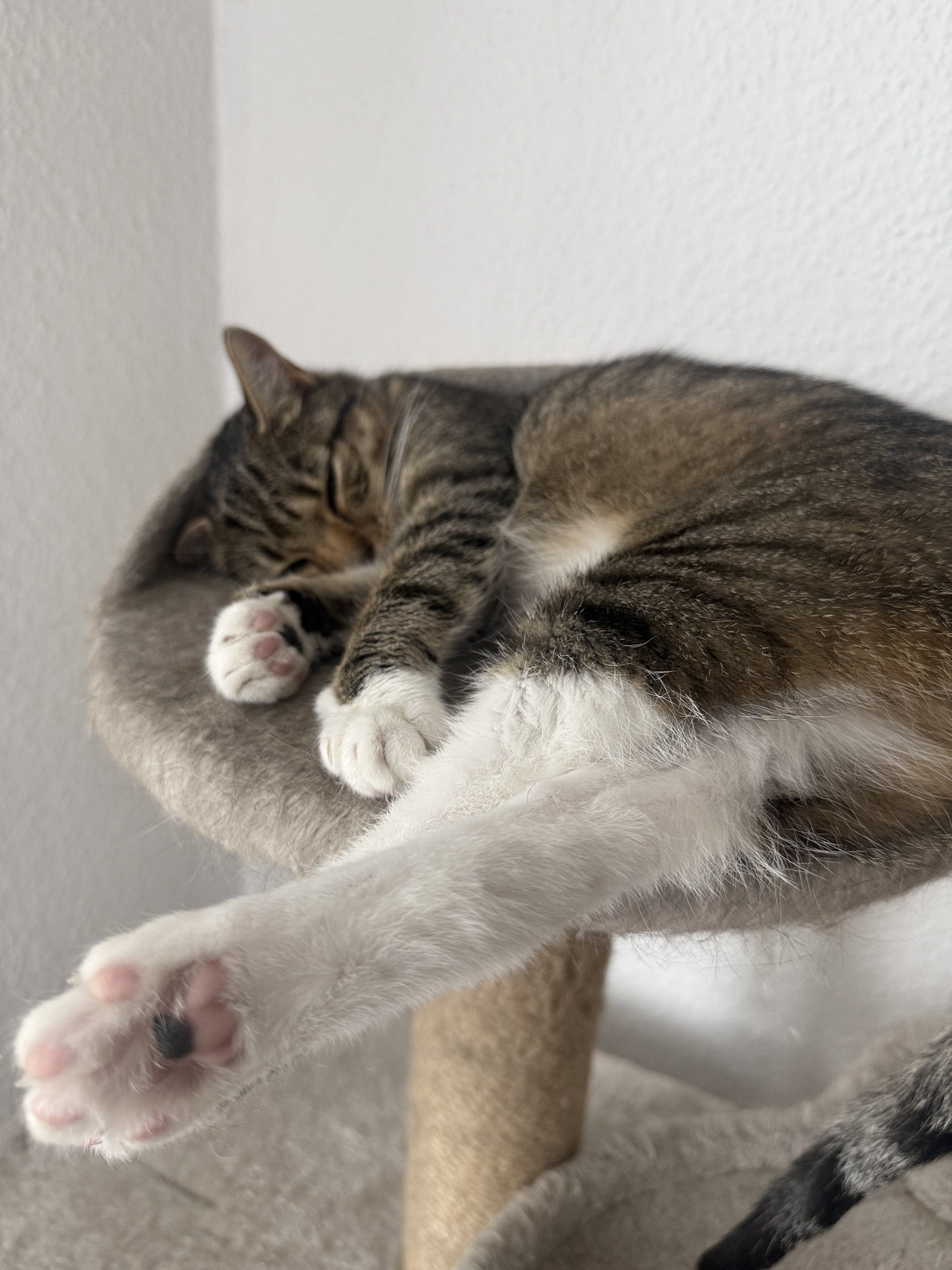 IMG_5065.jpeg