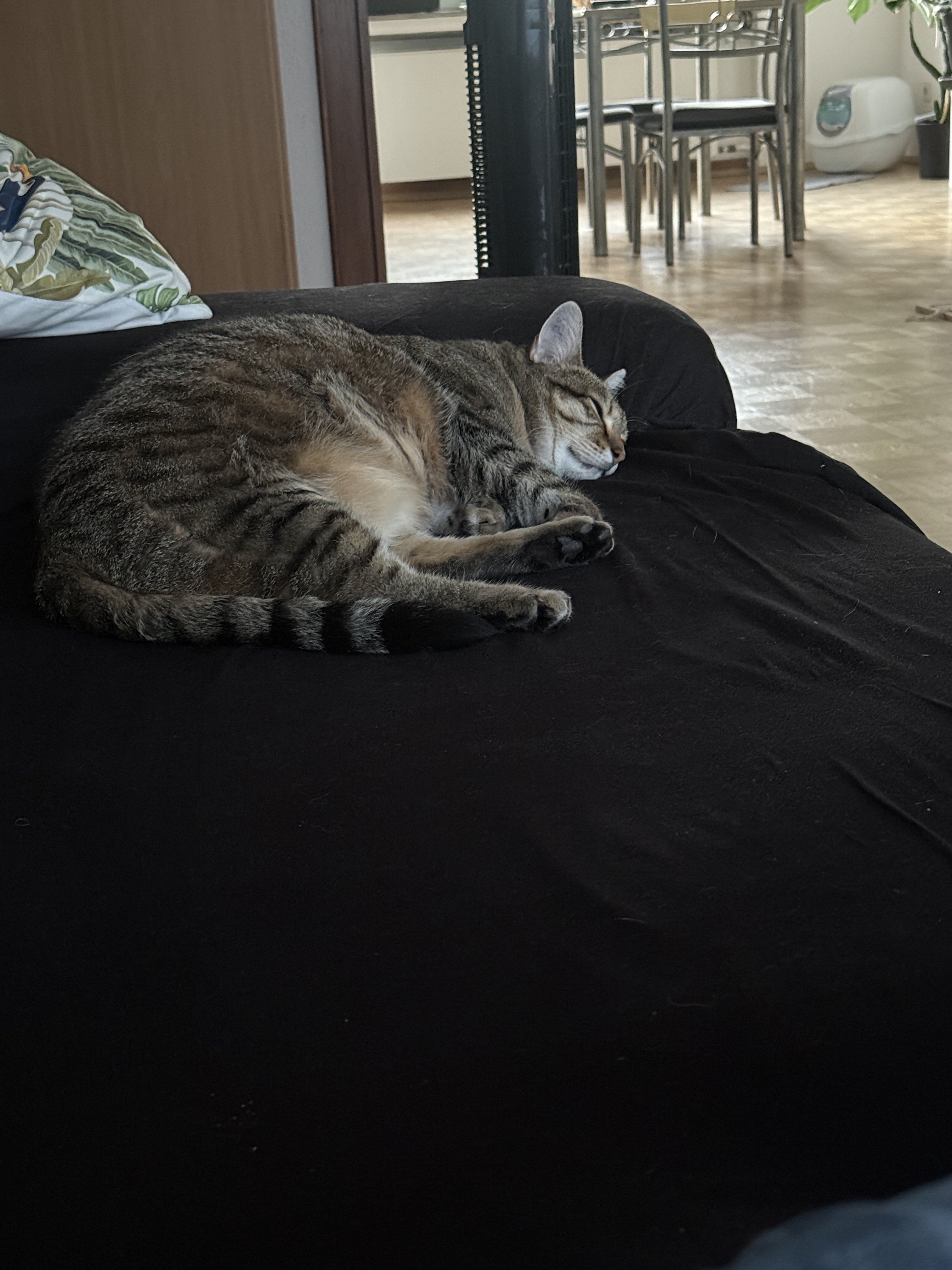 IMG_5235.jpeg