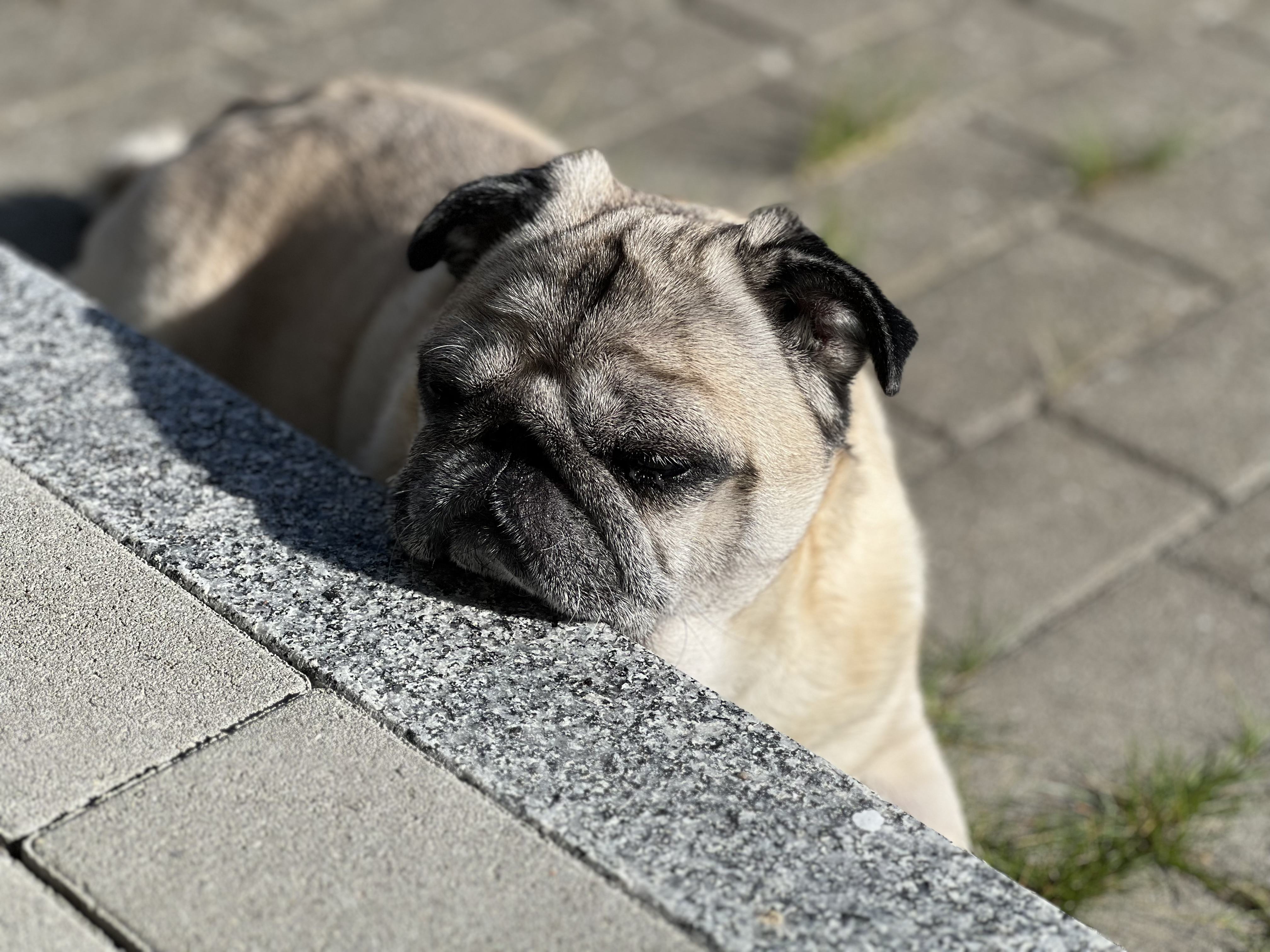 IMG_6052.jpeg