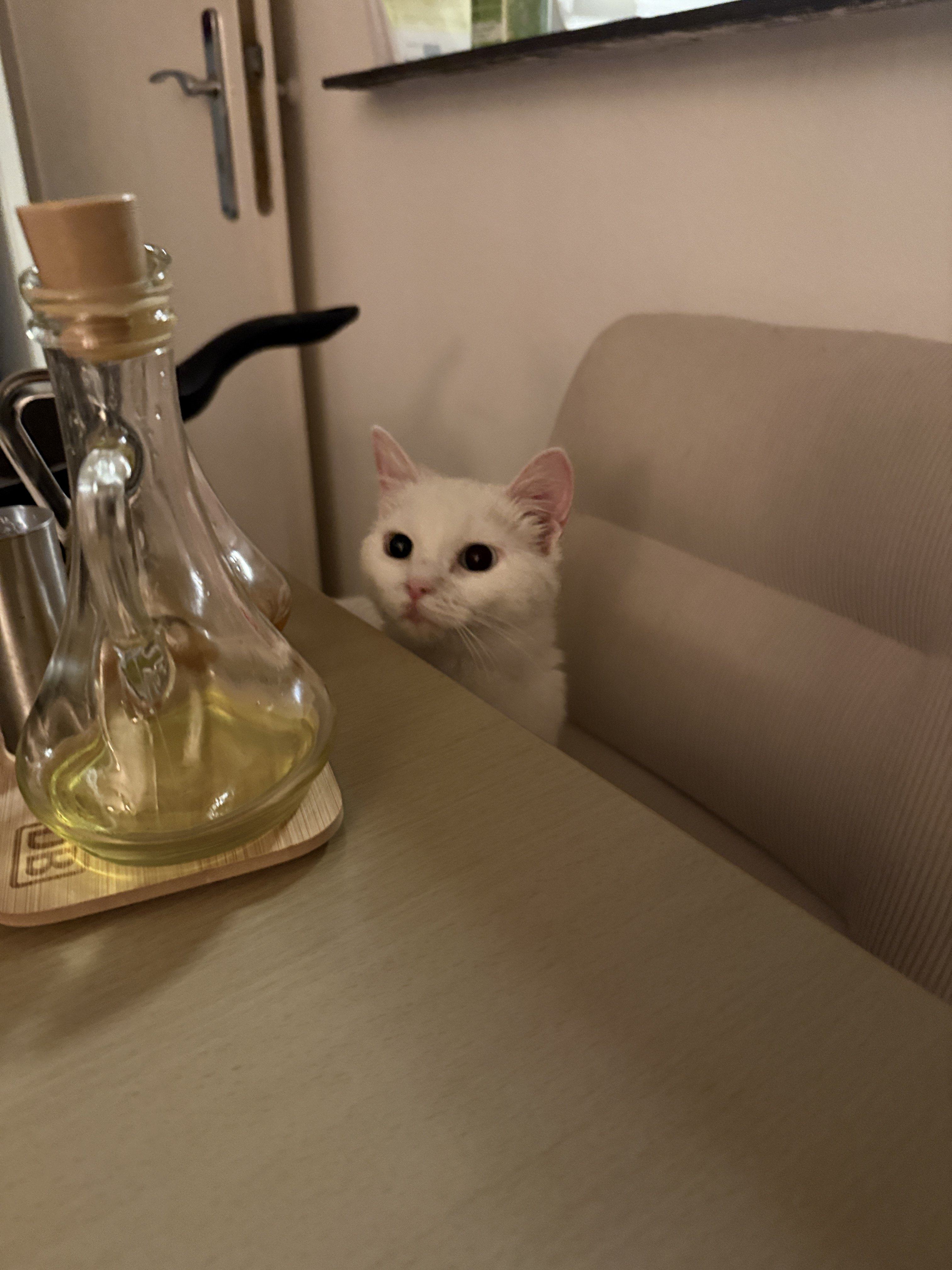 IMG_6553.jpeg