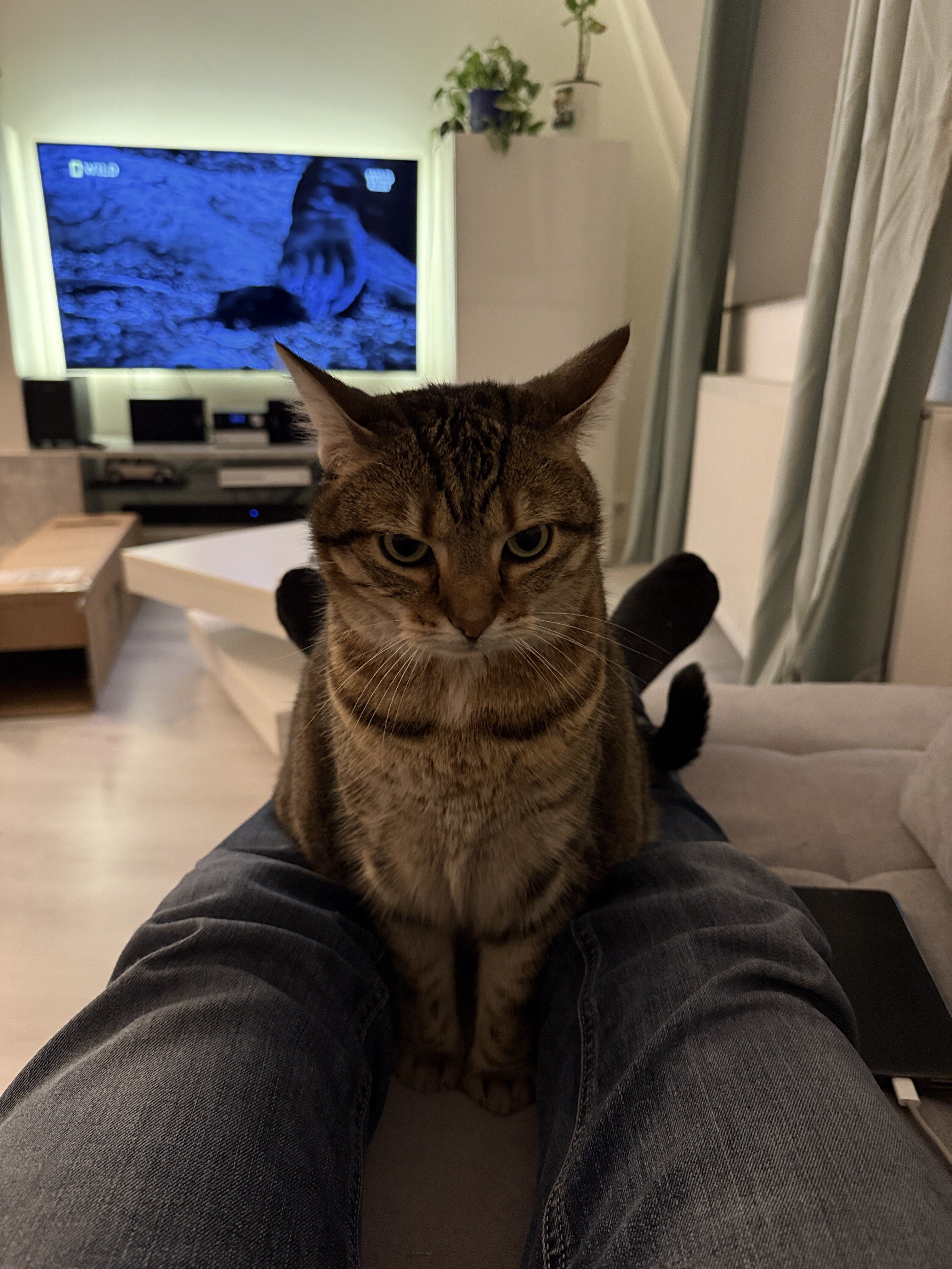 IMG_6701.jpeg