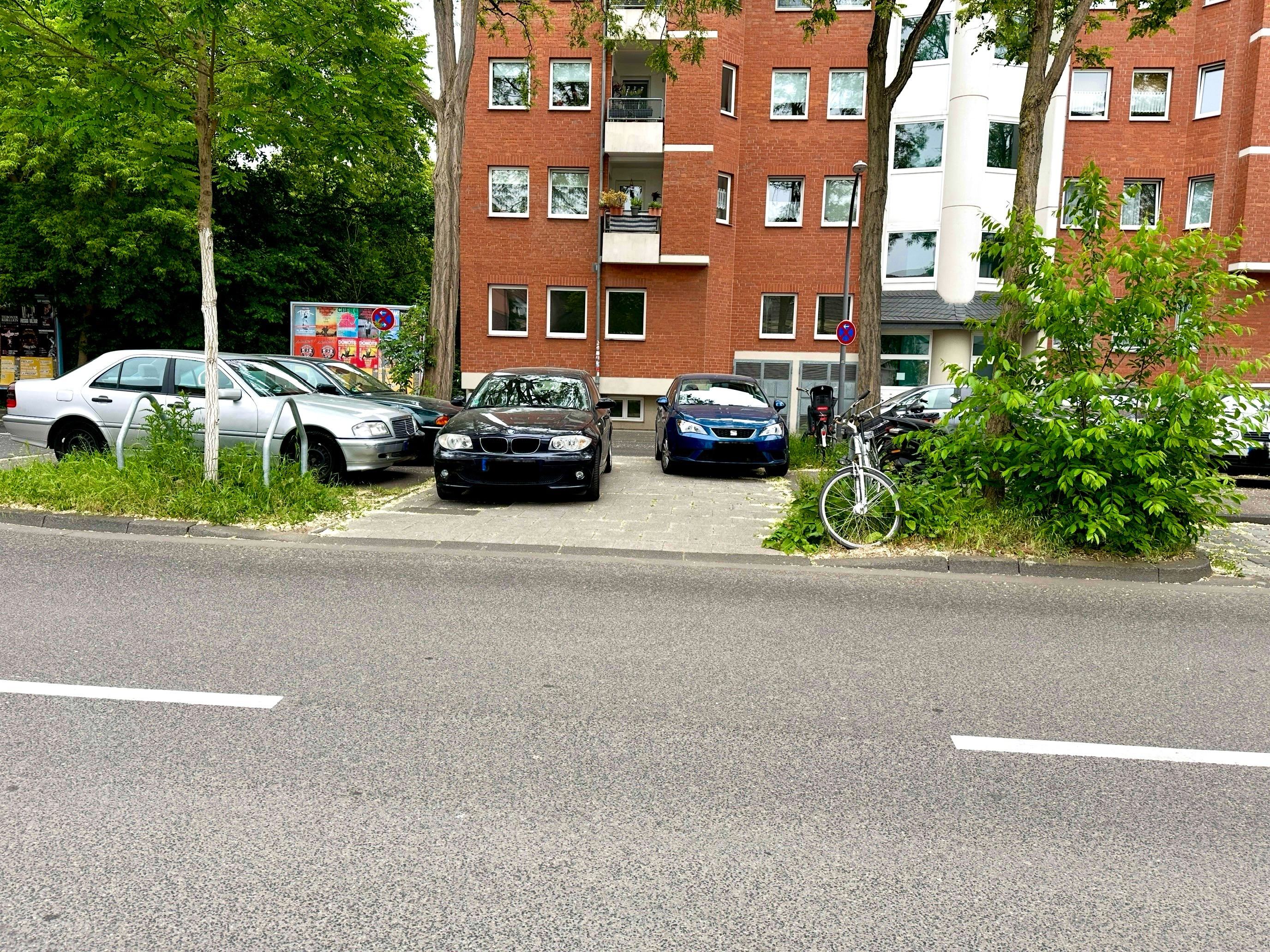 IMG_6880.jpeg
