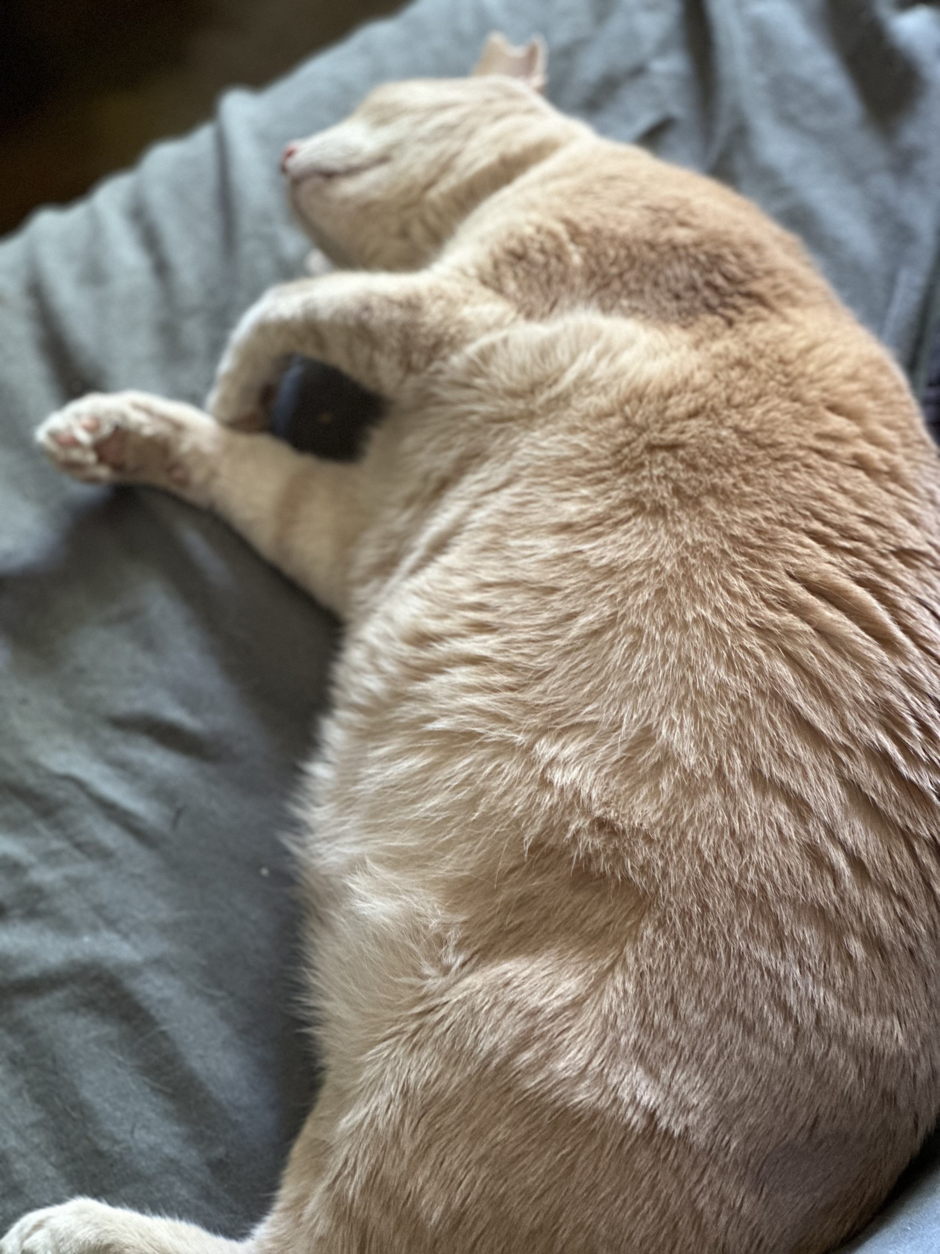 IMG_7544.jpeg