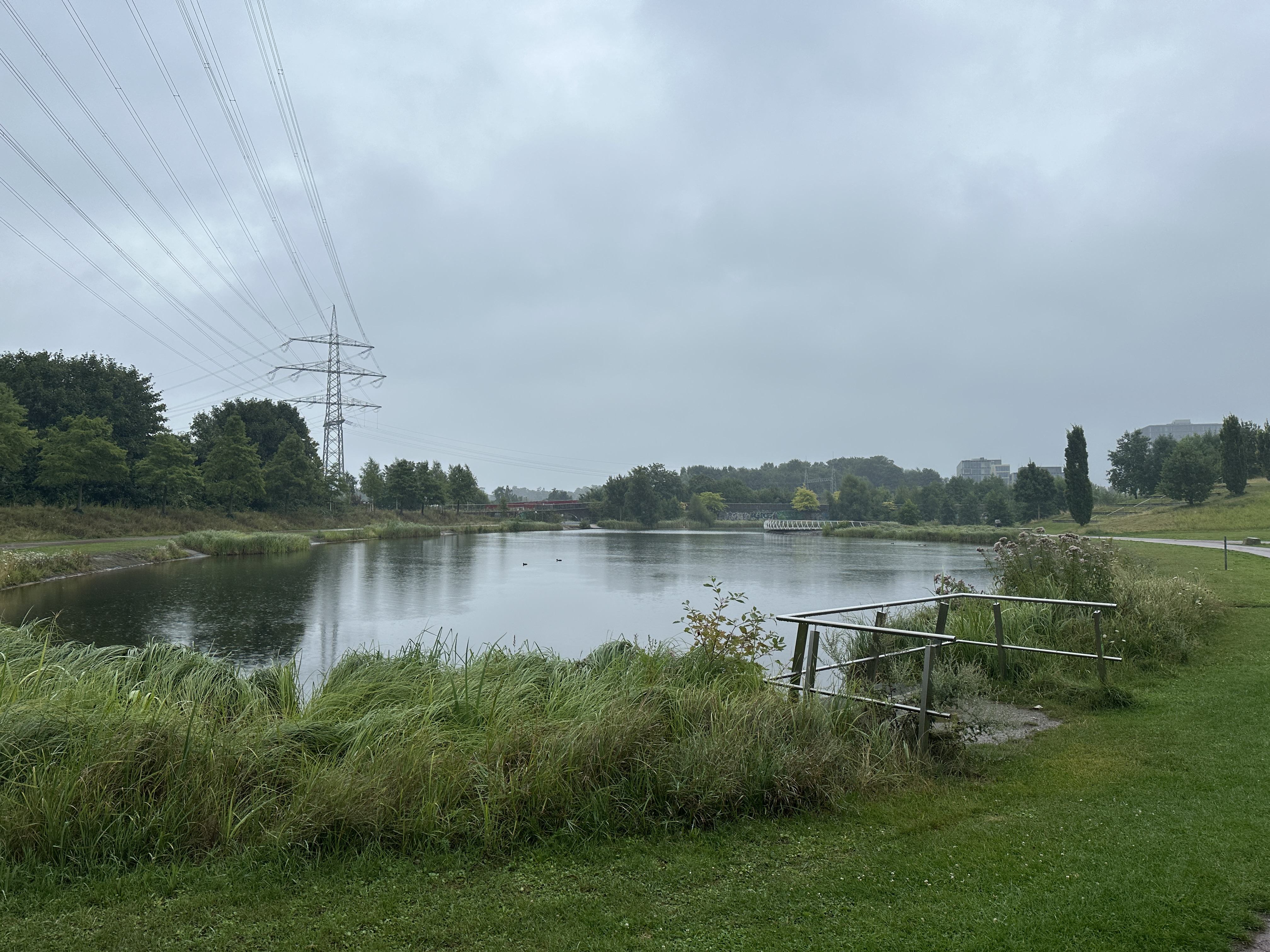 IMG_7612.jpeg