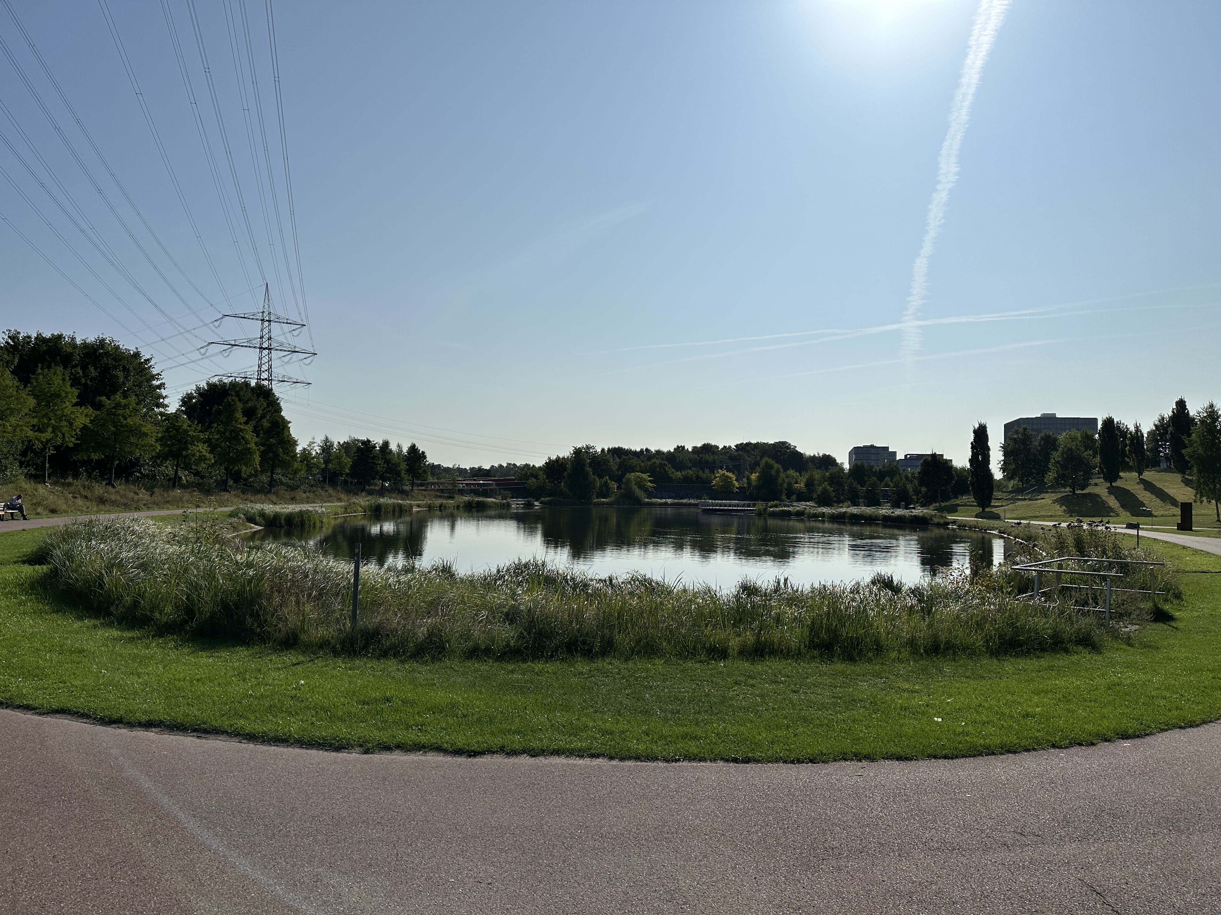IMG_7659.jpeg