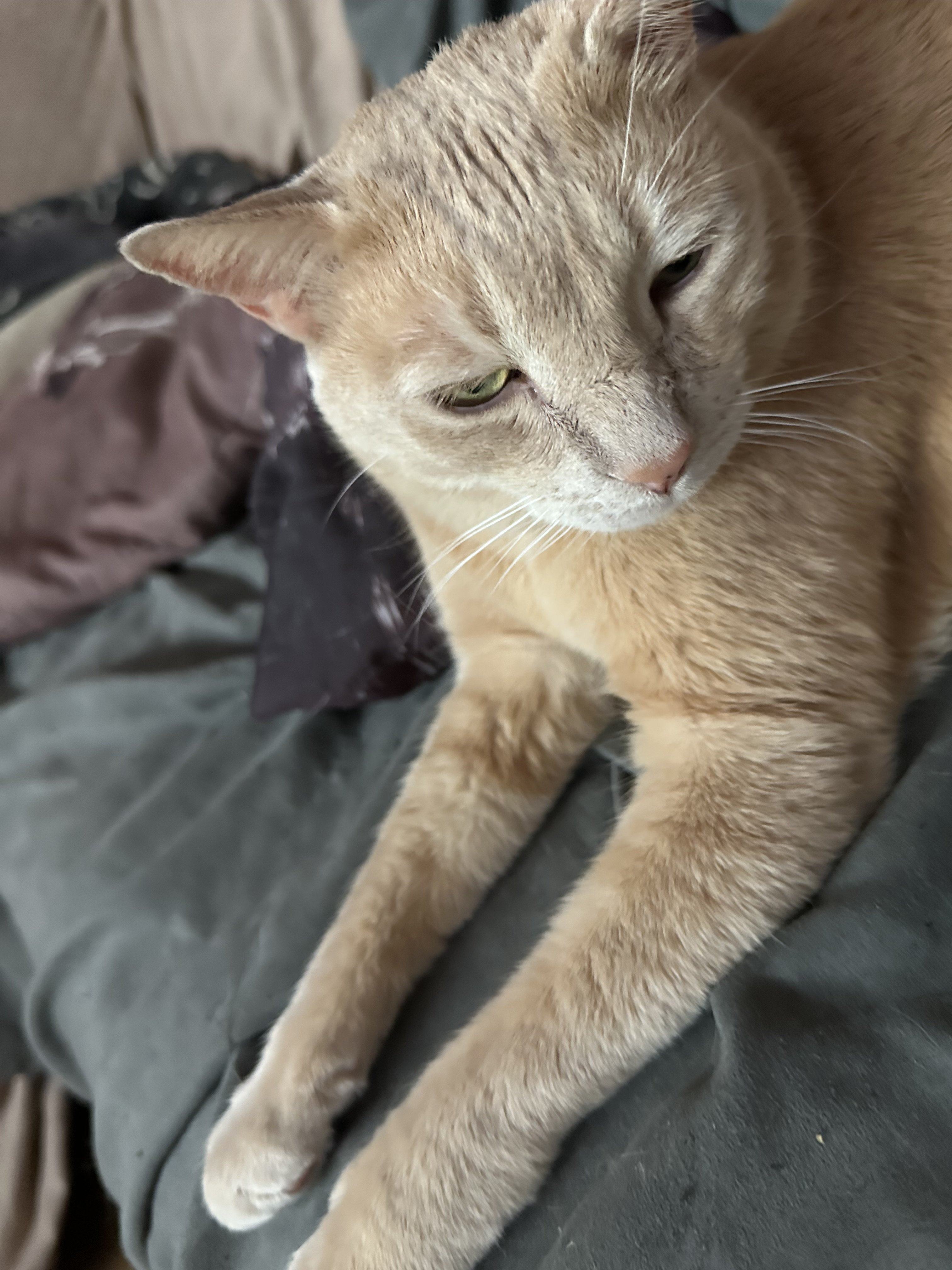 IMG_7784.jpeg