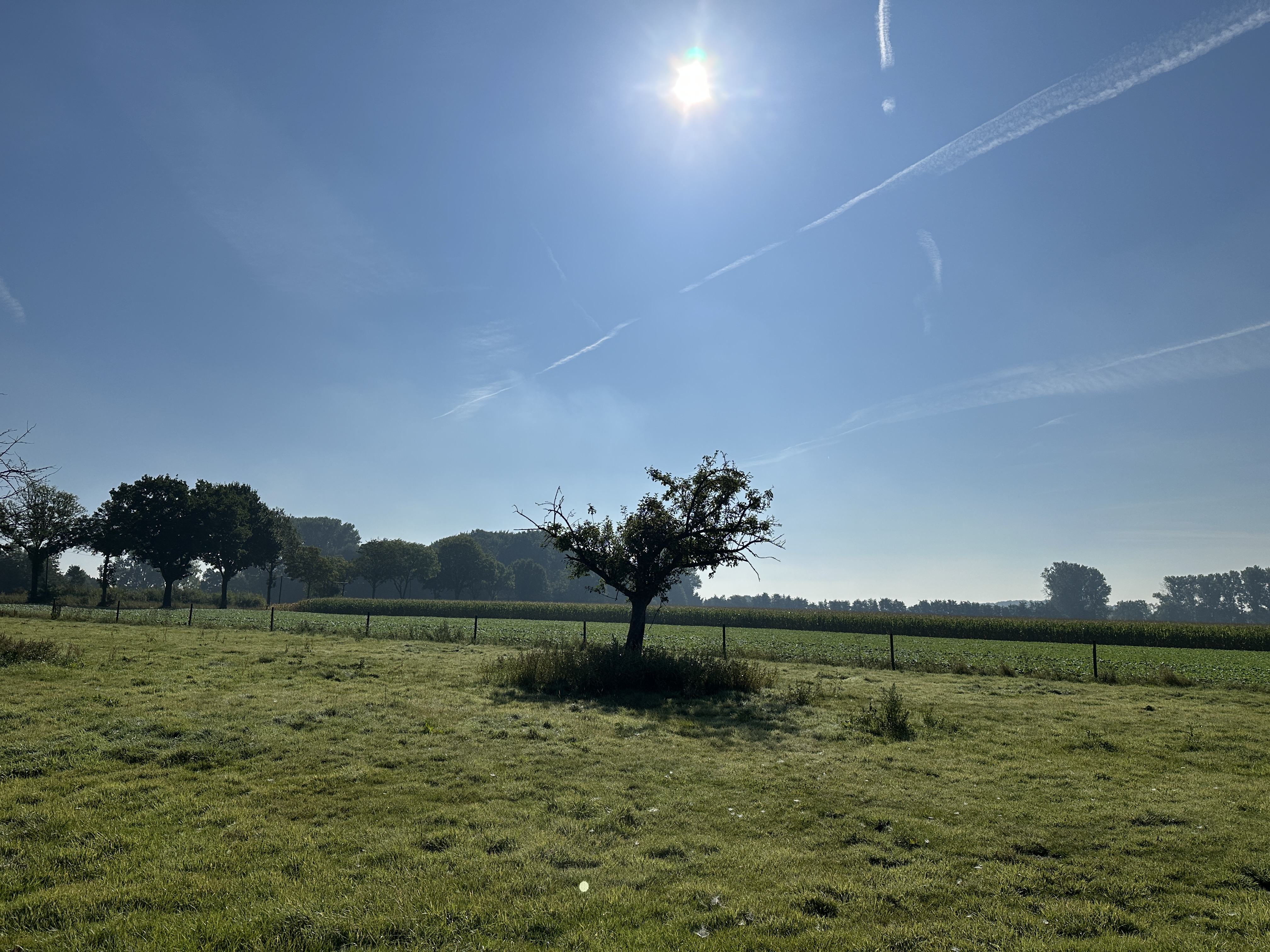 IMG_7849.jpeg