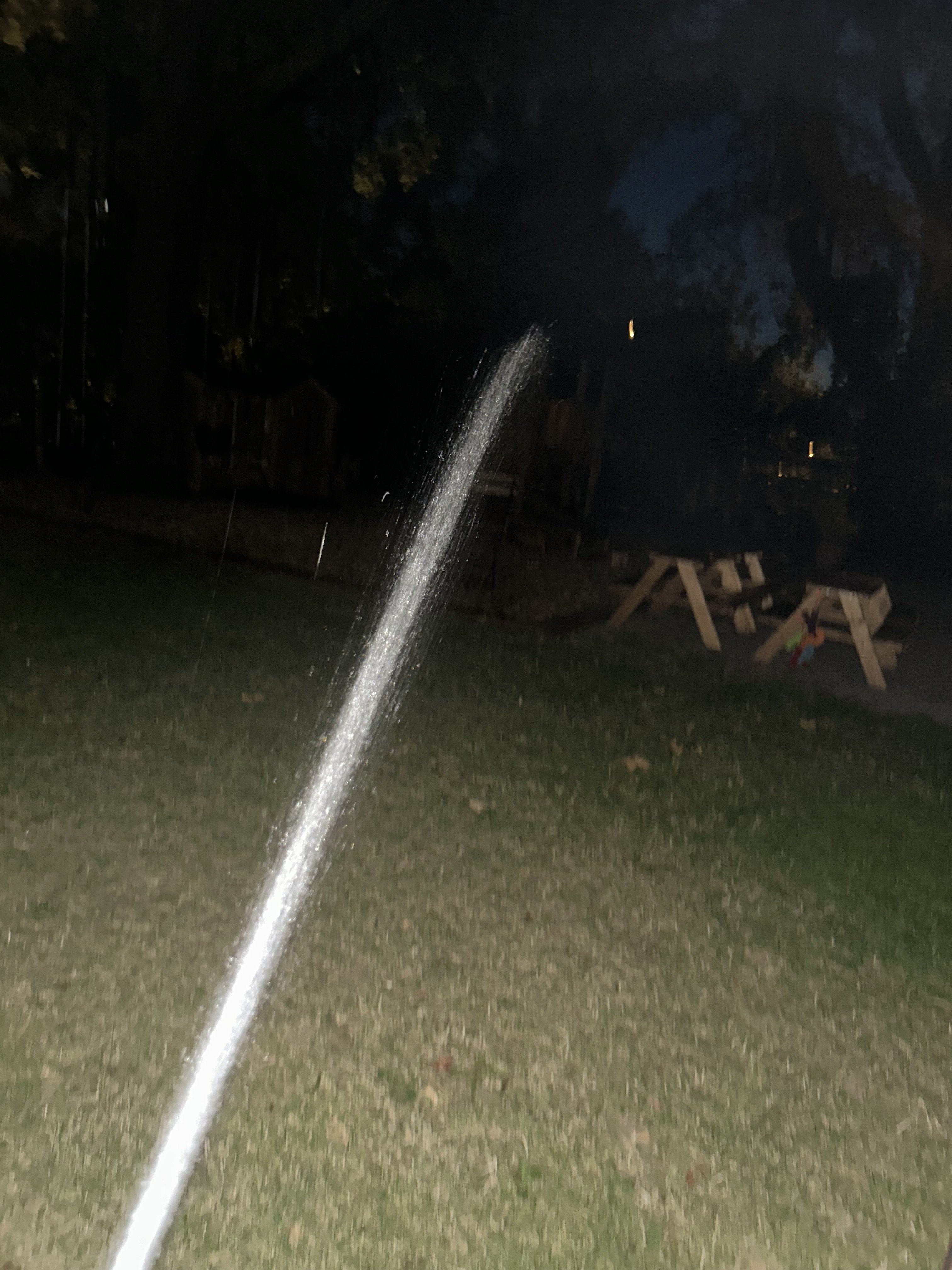 IMG_7892.jpeg