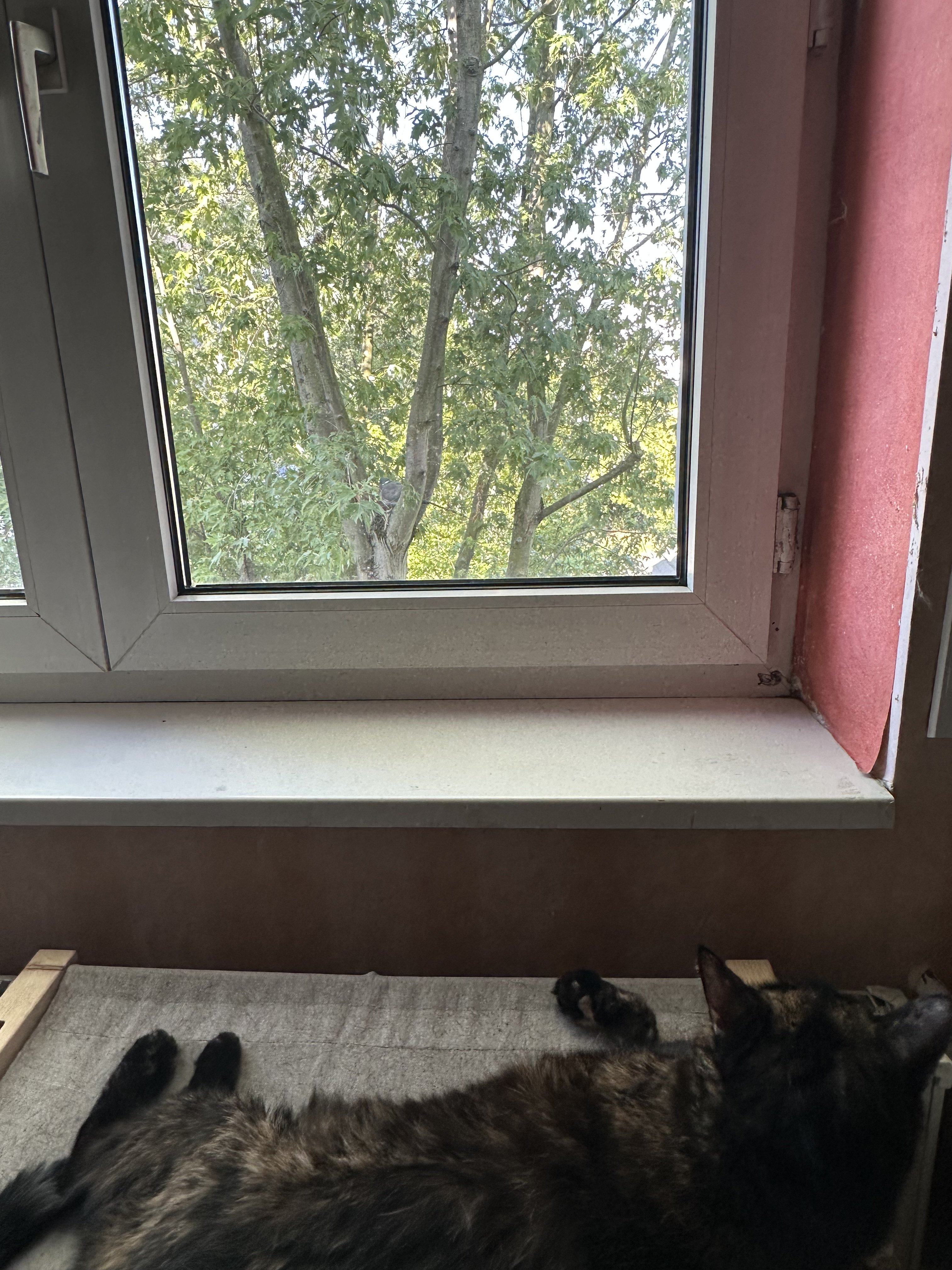 IMG_8051.jpeg