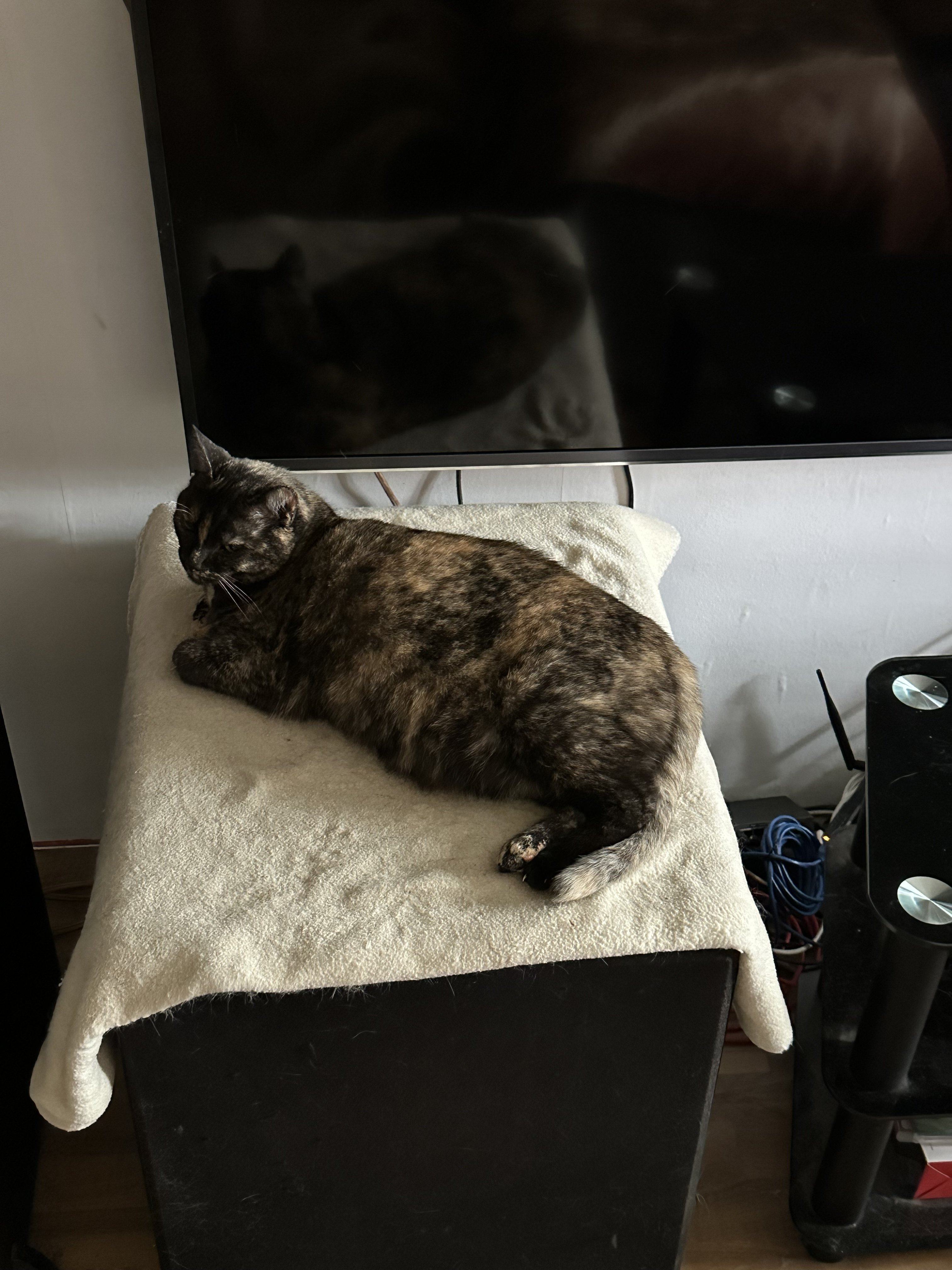 IMG_8091.jpeg