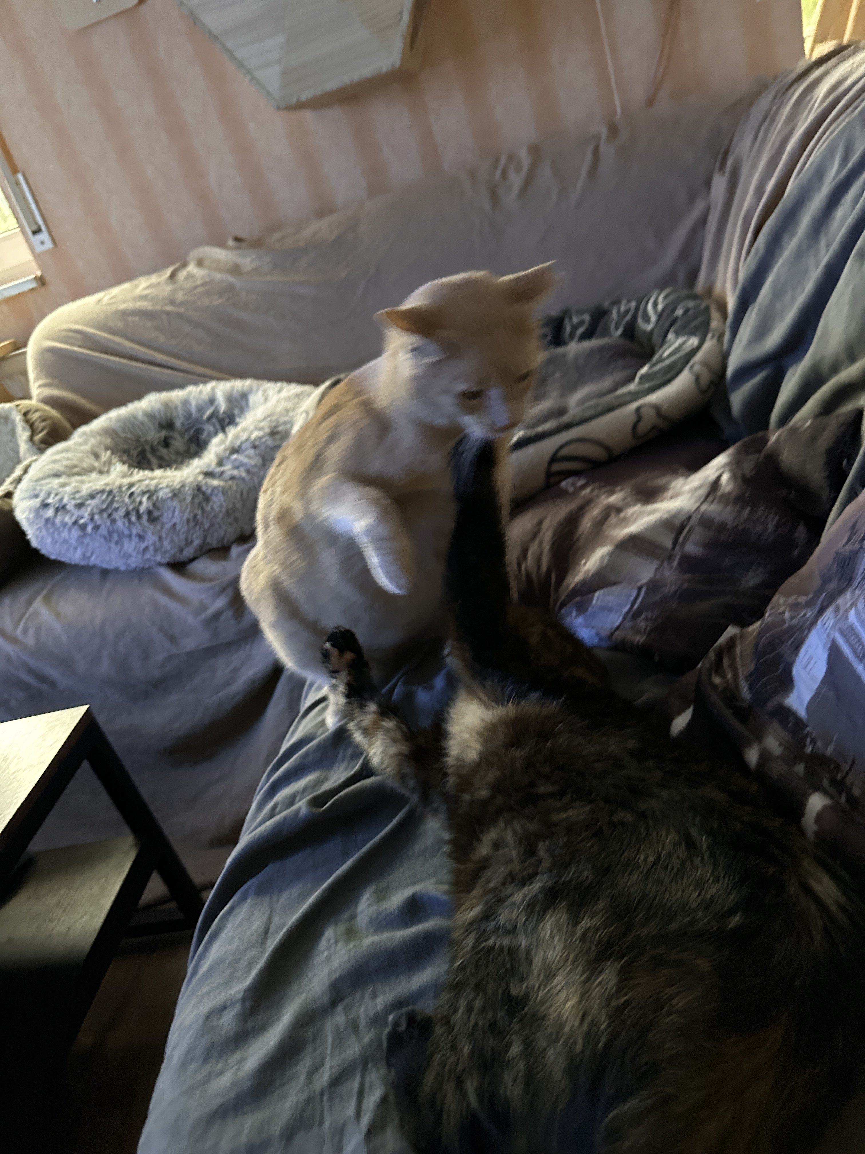 IMG_8297.jpeg