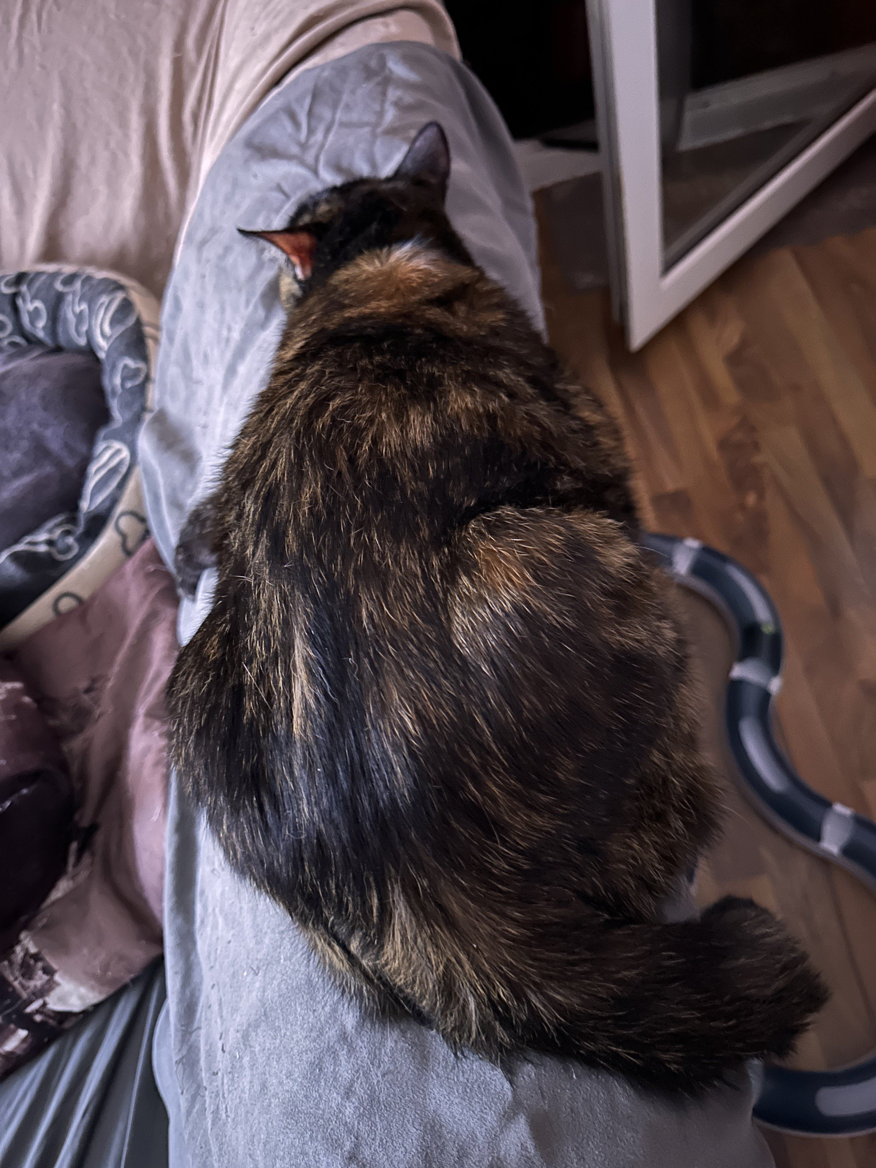 IMG_8354.jpeg