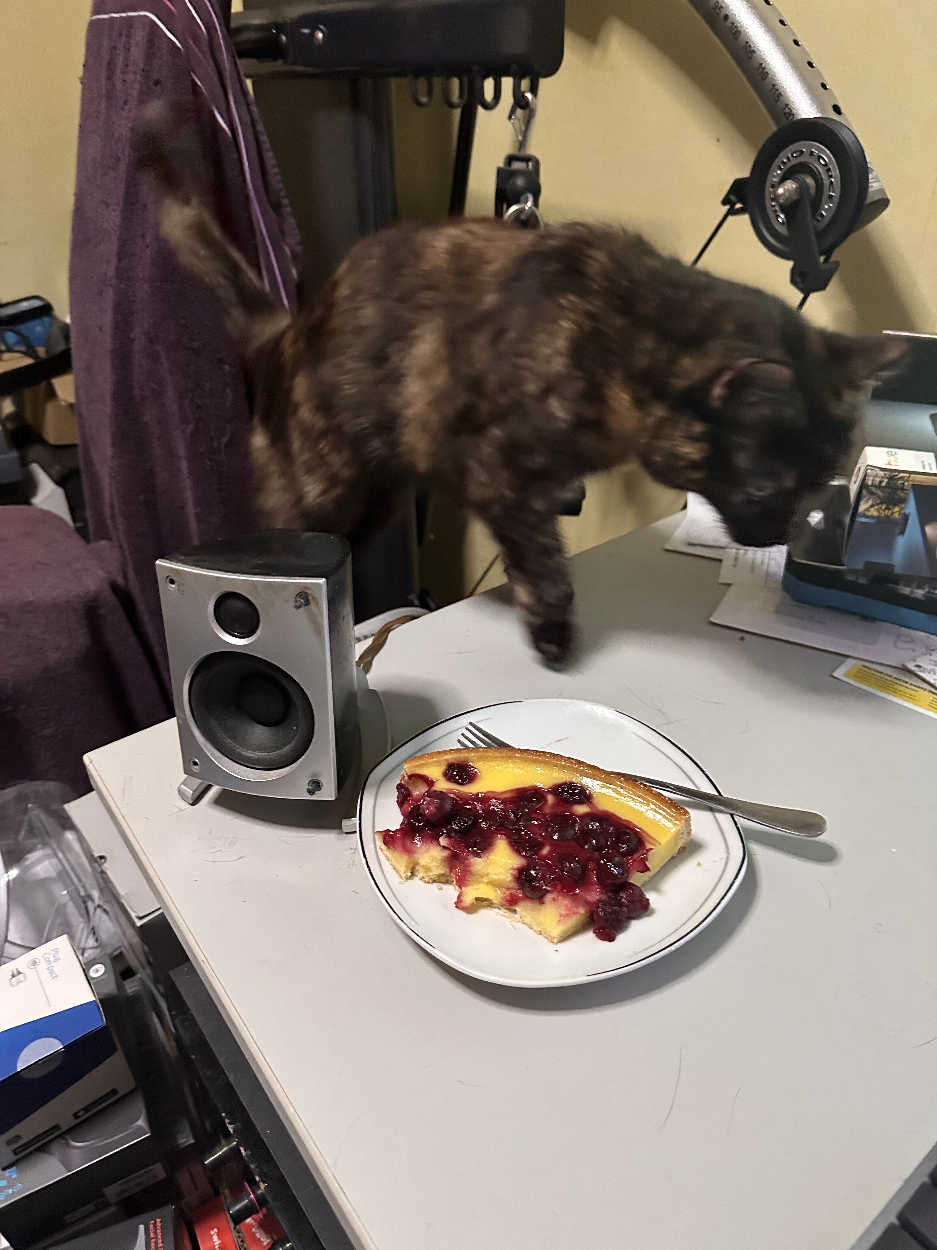 IMG_8473.jpeg