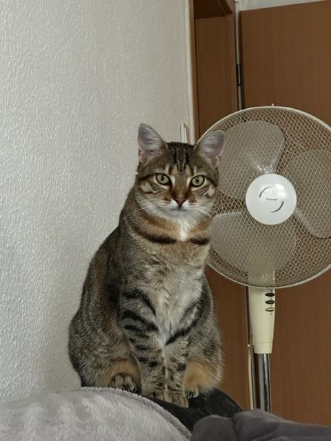 IMG_9909.jpeg