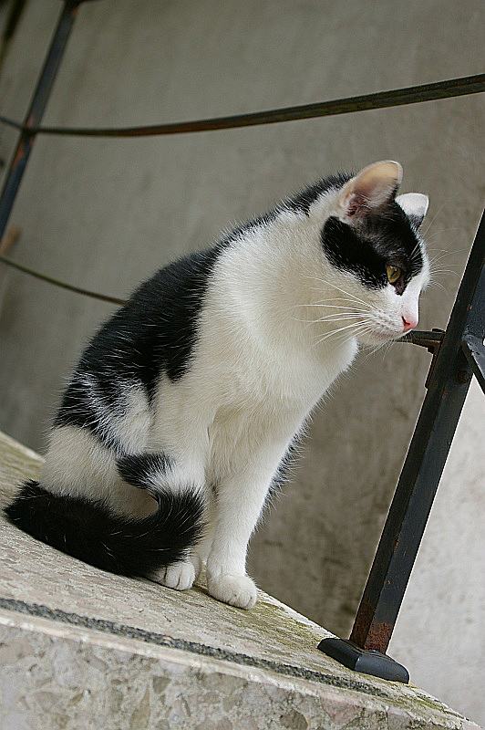 IMGP7641.jpg